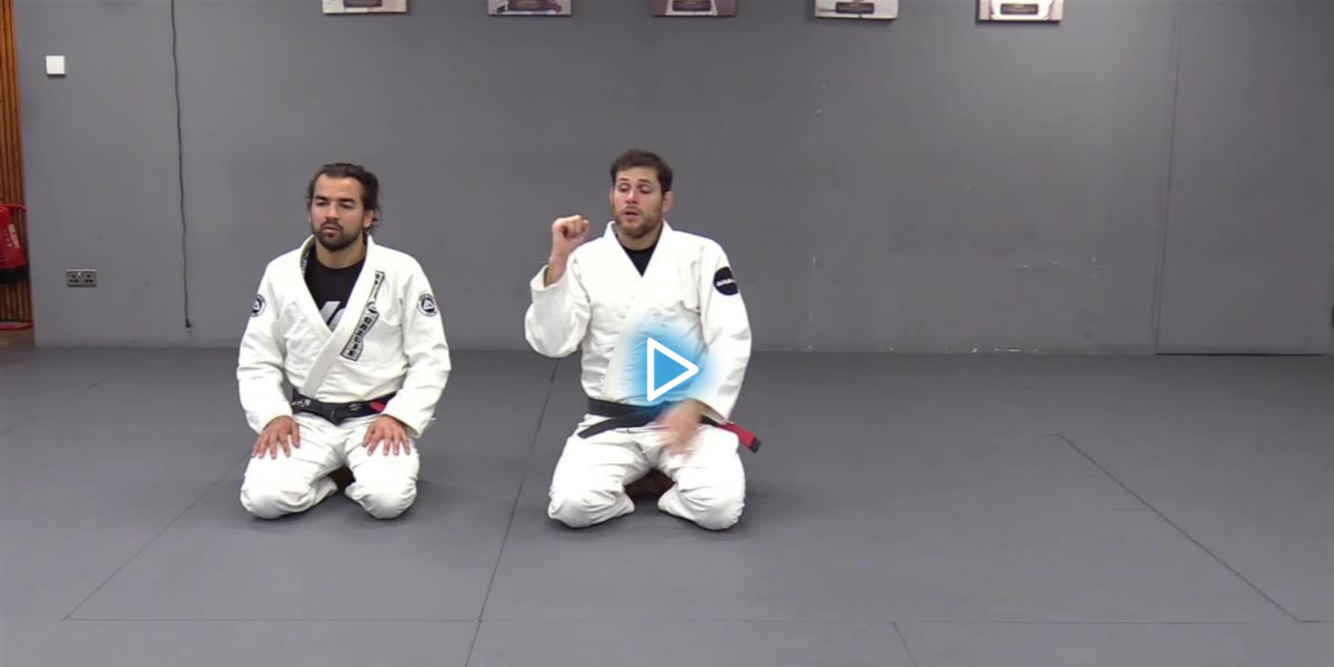 The Roger Gracie Mount System by Roger Gracie image 4