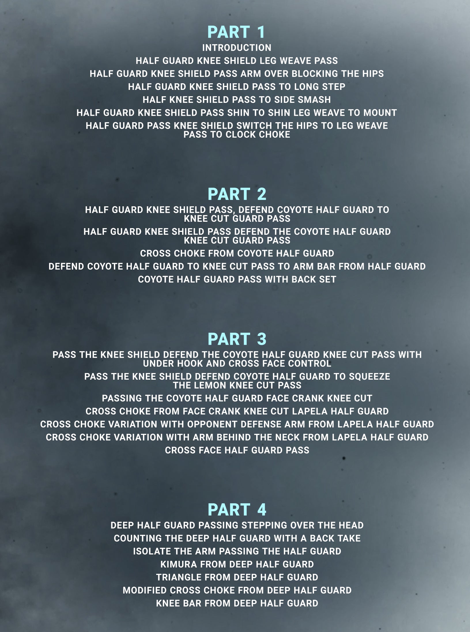 Half Guard Destruction by Romulo Barral image 2