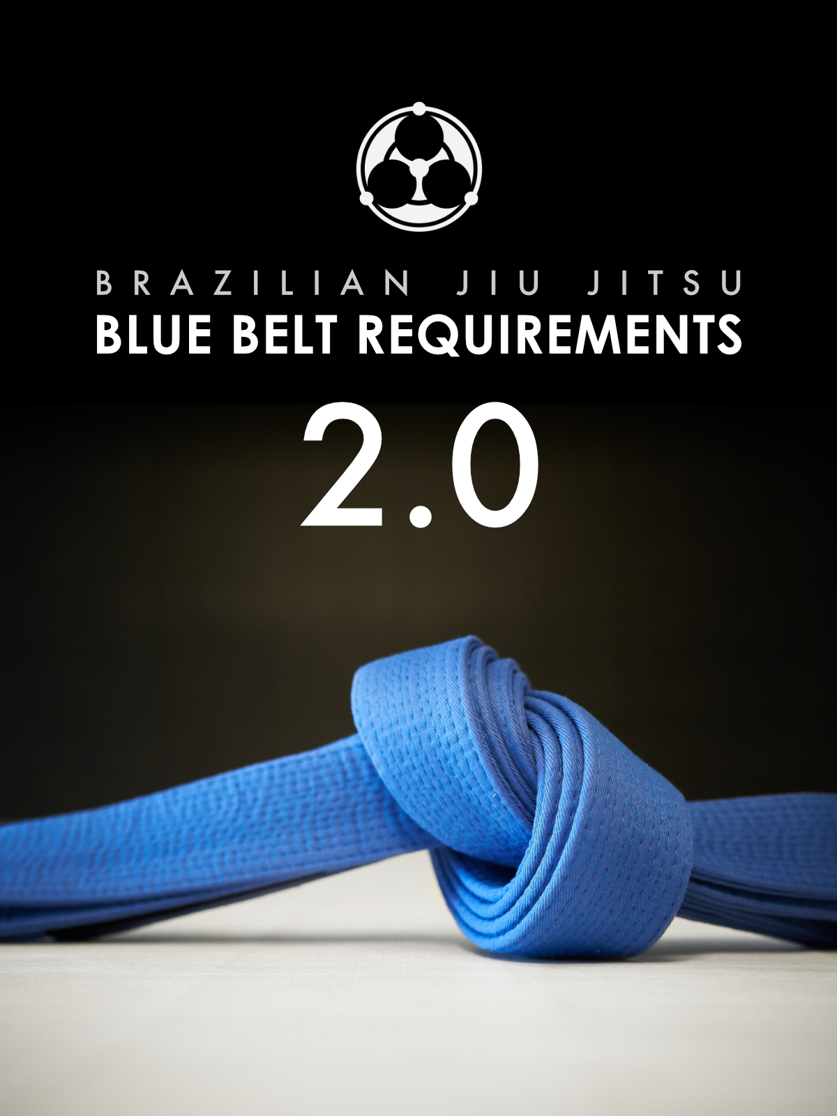 Blue Belt Requirements 2.0 by Roy Dean image 1