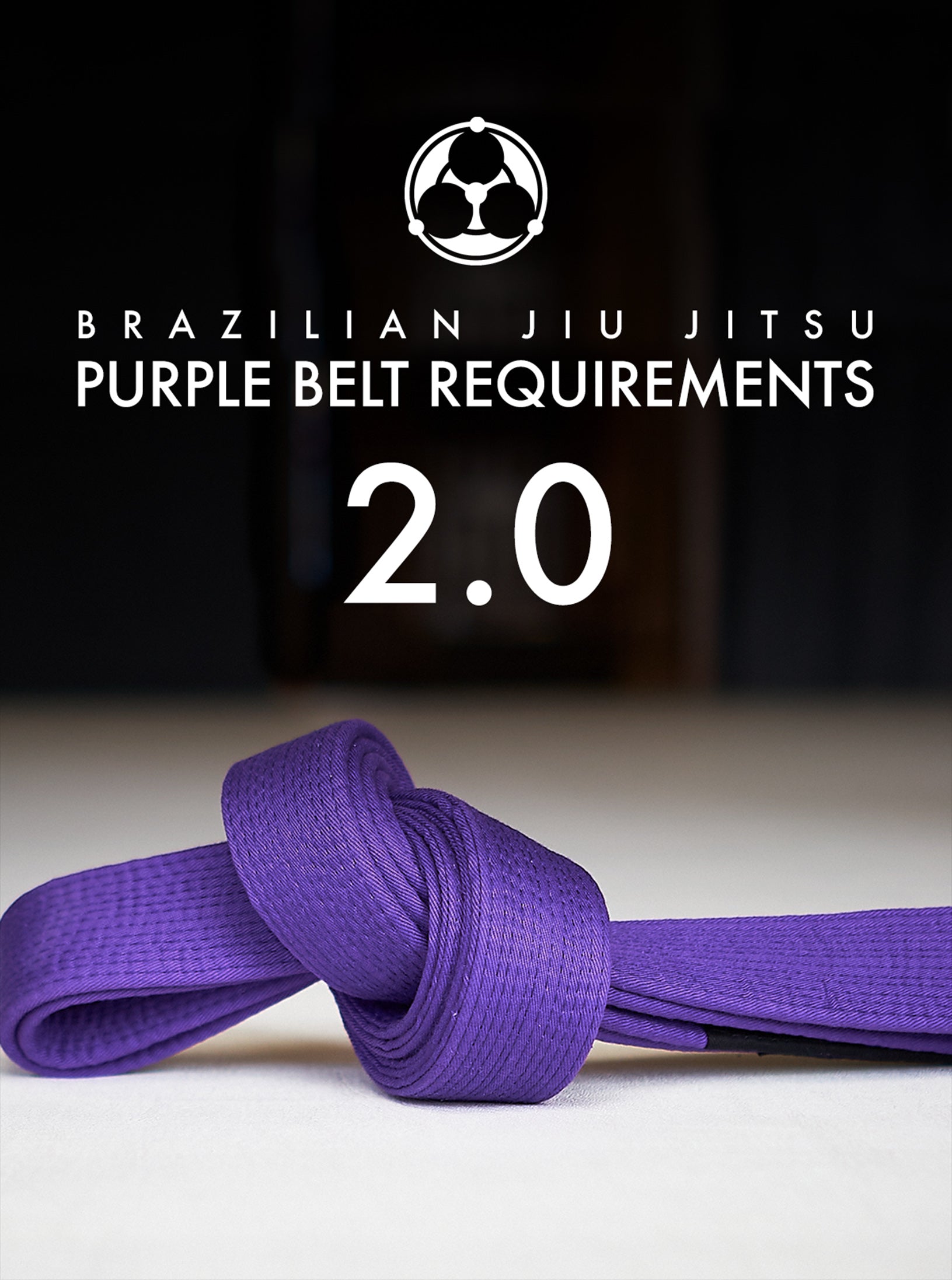 Brazilian Jiu Jitsu Requirements: Purple Belt 2.0 by Roy Dean image 1