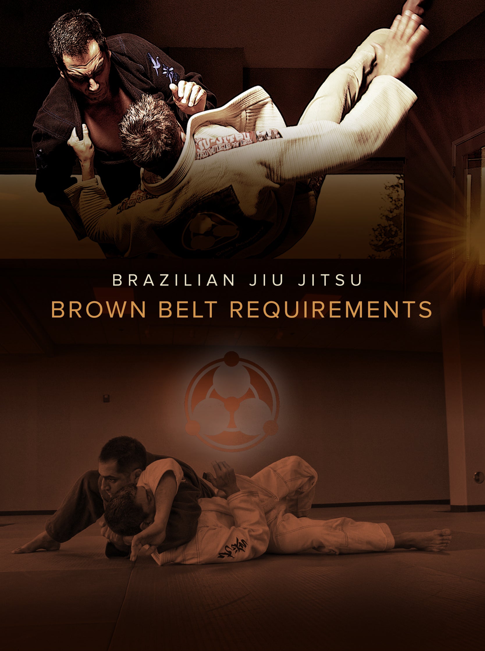 Brazilian Jiu Jitsu Brown Belt Requirements by Roy Dean image 1