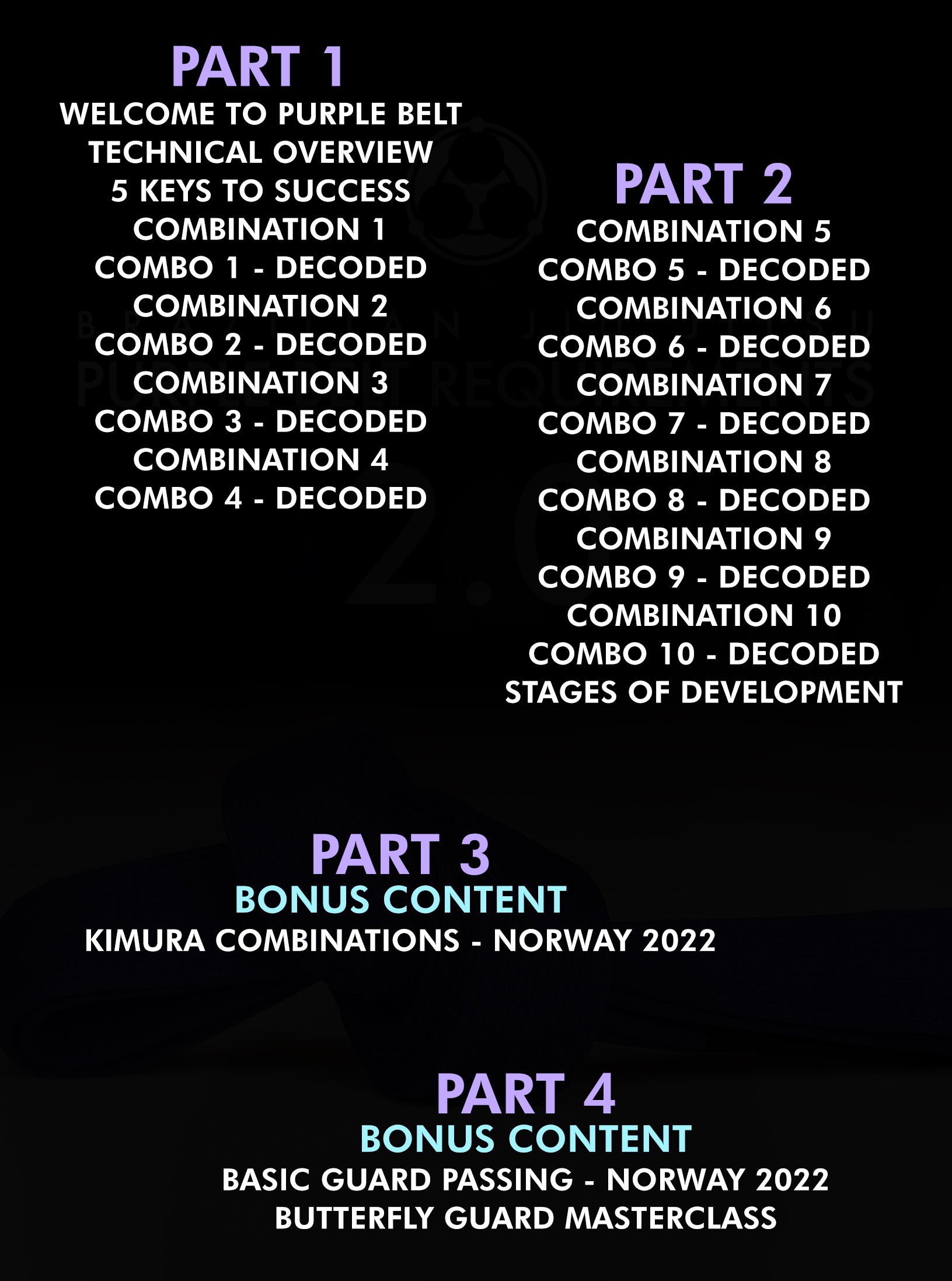 Brazilian Jiu Jitsu Requirements: Purple Belt 2.0 by Roy Dean image 2