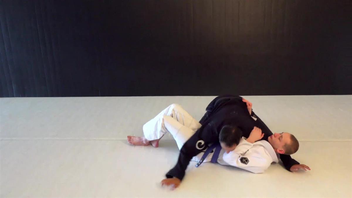 Blue Belt Requirements 2.0 by Roy Dean image 4