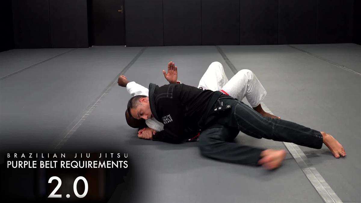 Brazilian Jiu Jitsu Requirements: Purple Belt 2.0 by Roy Dean image 3