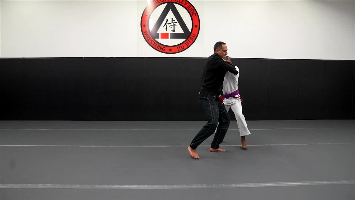 Brazilian Jiu Jitsu Requirements: Purple Belt 2.0 by Roy Dean image 4