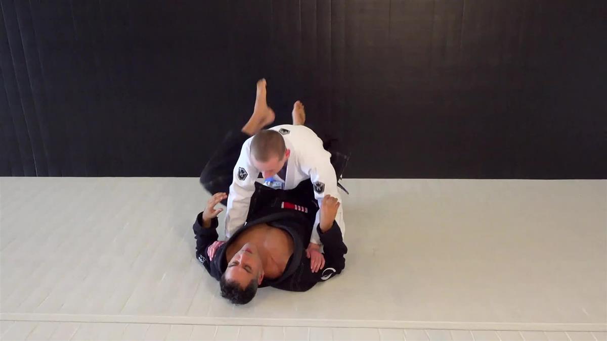 Blue Belt Requirements 2.0 by Roy Dean image 5