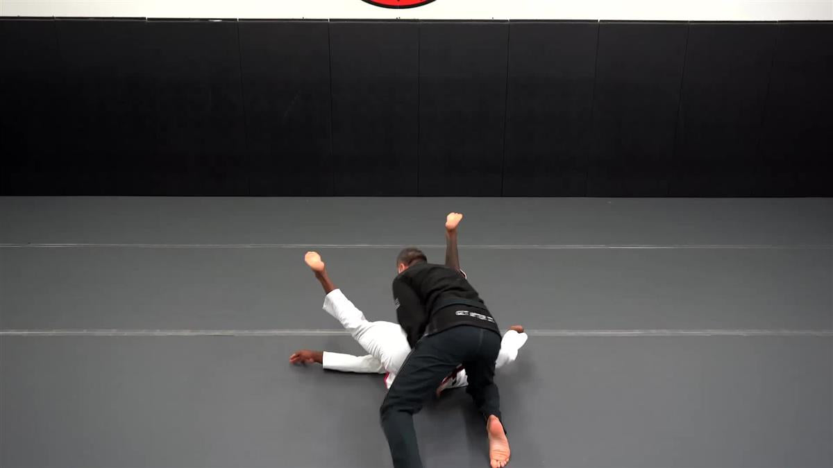 Brazilian Jiu Jitsu Requirements: Purple Belt 2.0 by Roy Dean image 5