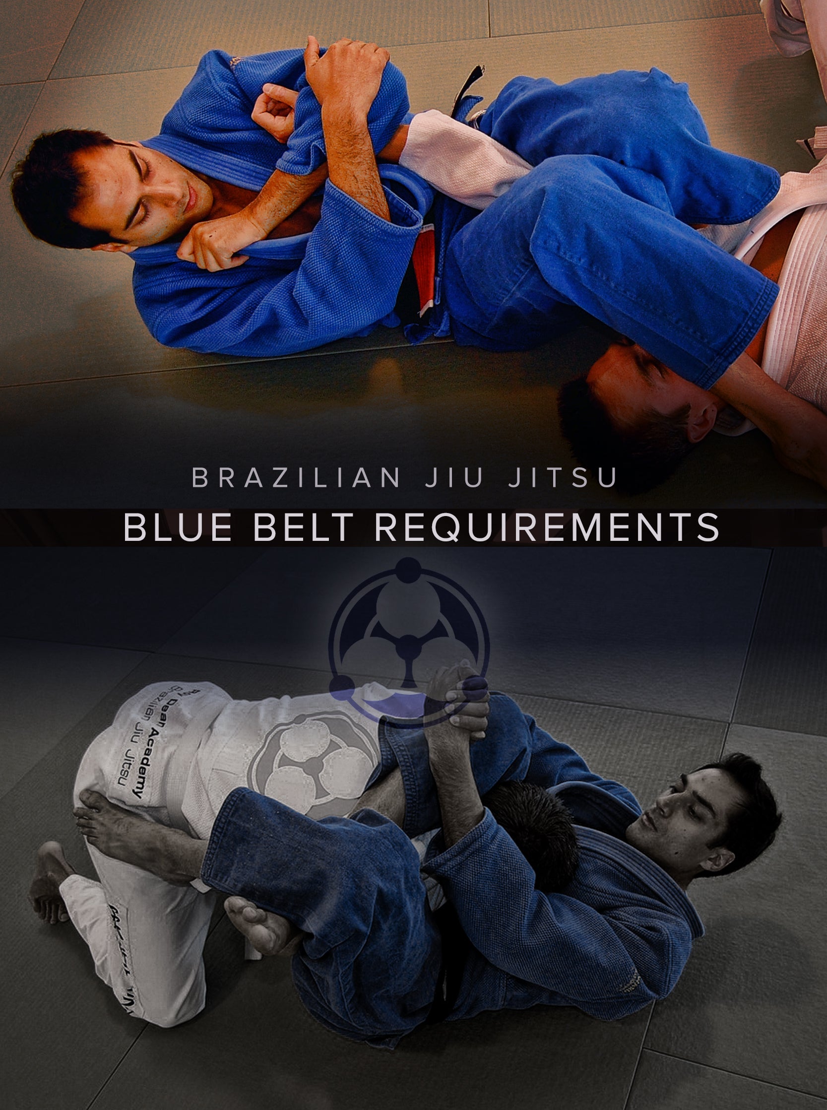Brazilian Jiu Jitsu Blue Belt Requirements by Roy Dean image 1