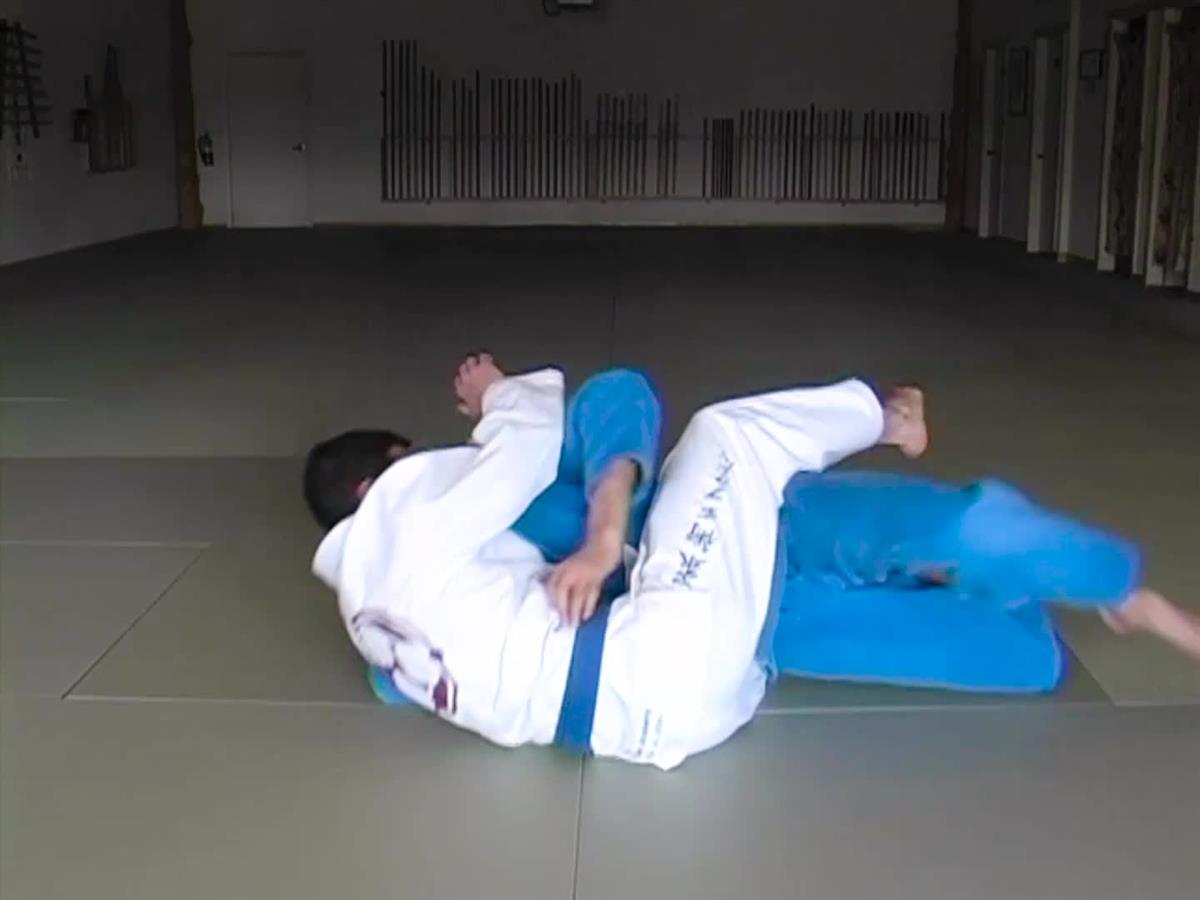 Brazilian Jiu Jitsu Blue Belt Requirements by Roy Dean image 2