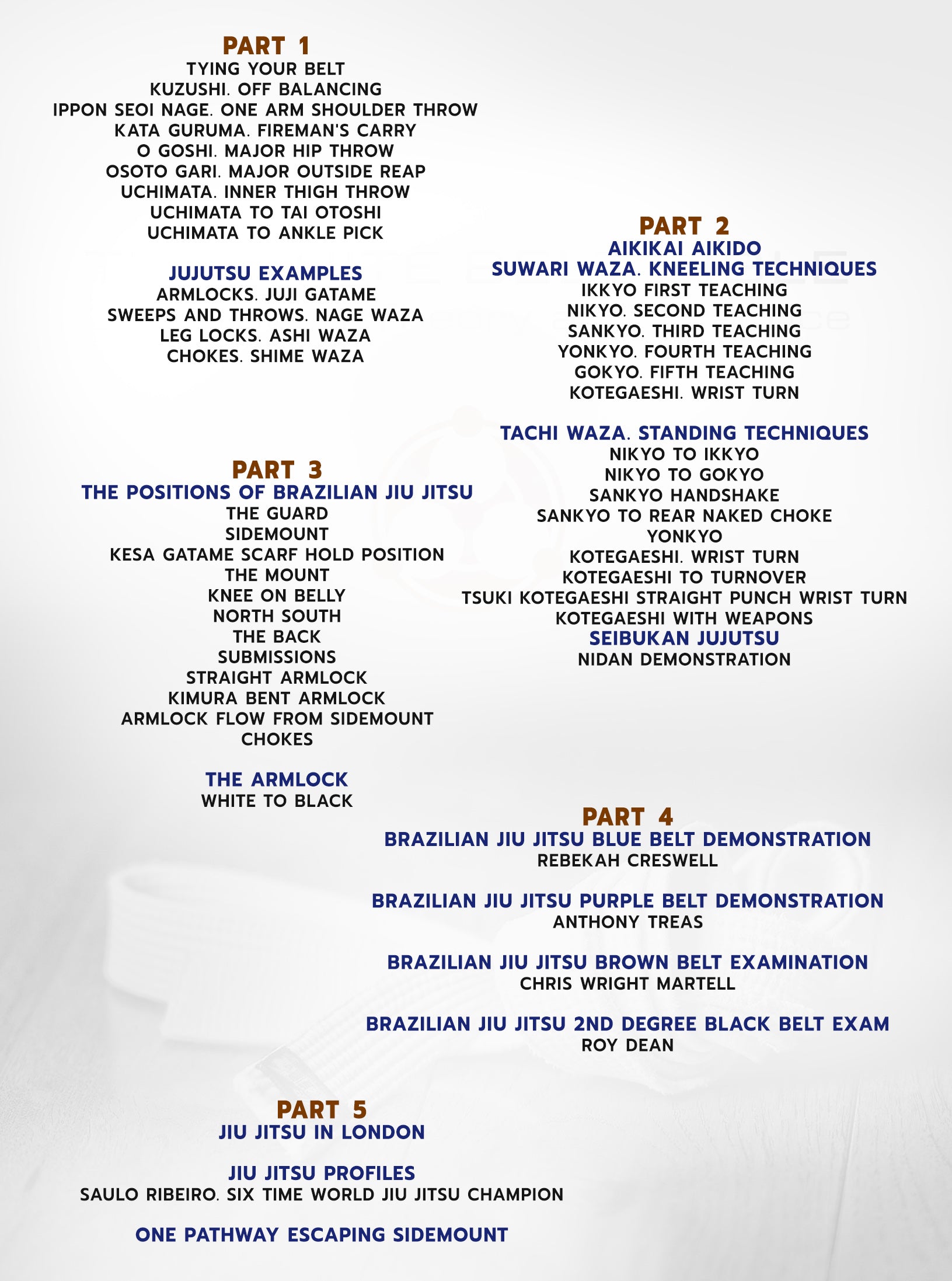 The White Belt Bible by Roy Dean image 2