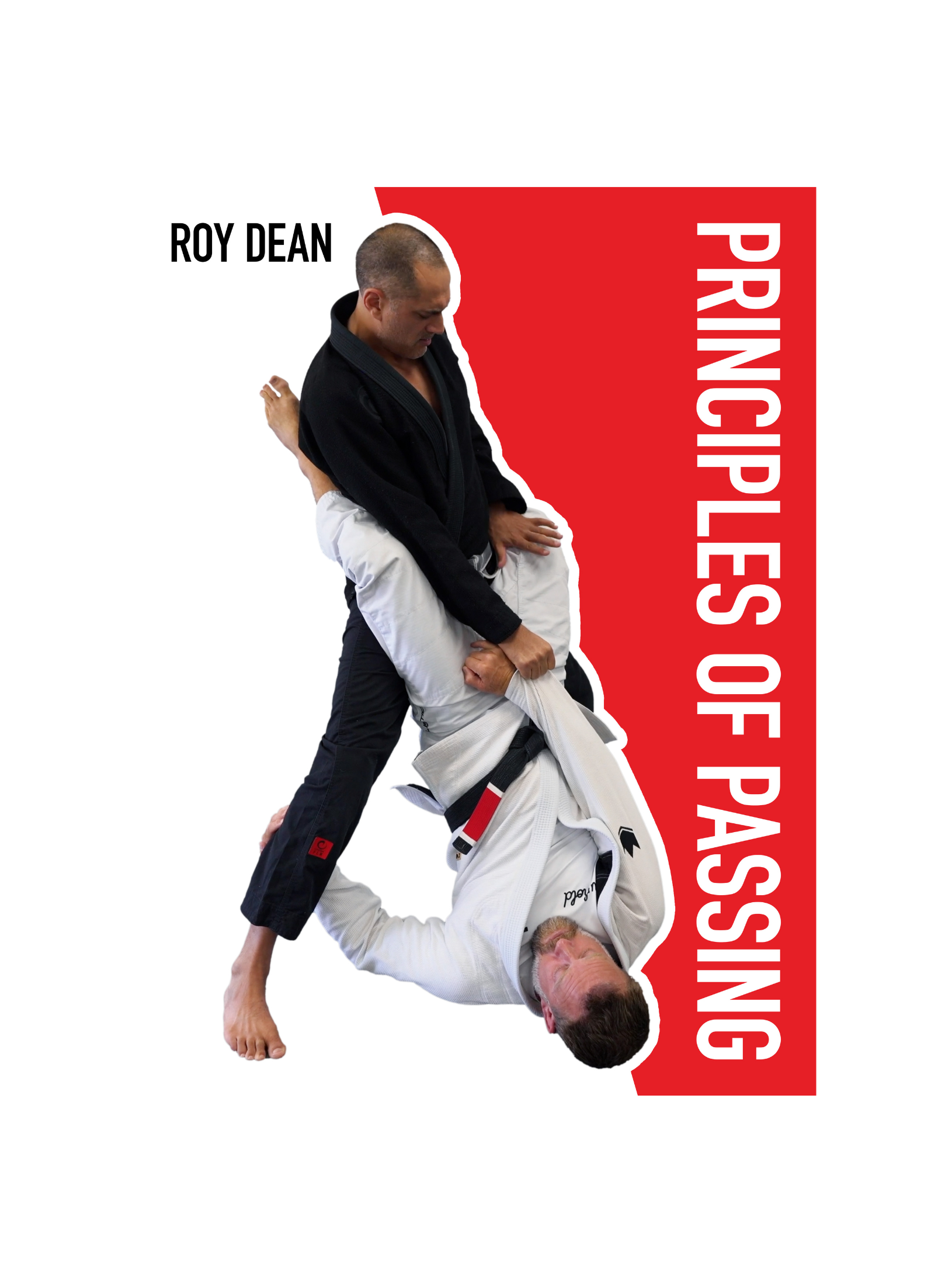 Pass Any Guard: The Principles of Passing by Roy Dean image 1