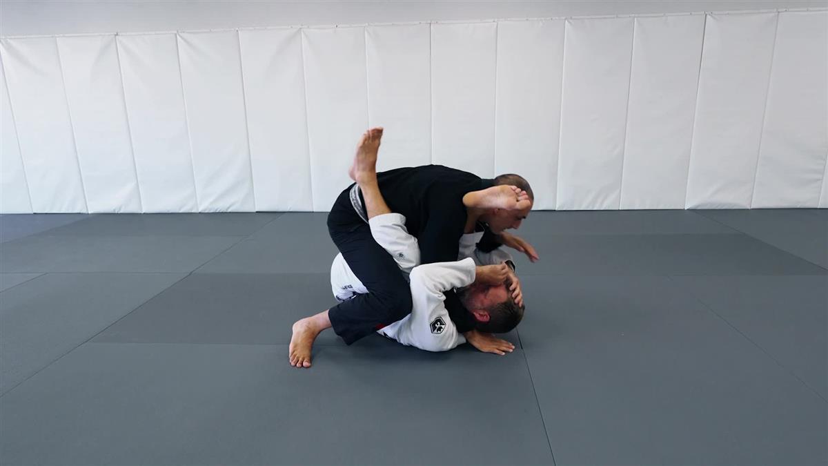 Pass Any Guard: The Principles of Passing by Roy Dean image 2