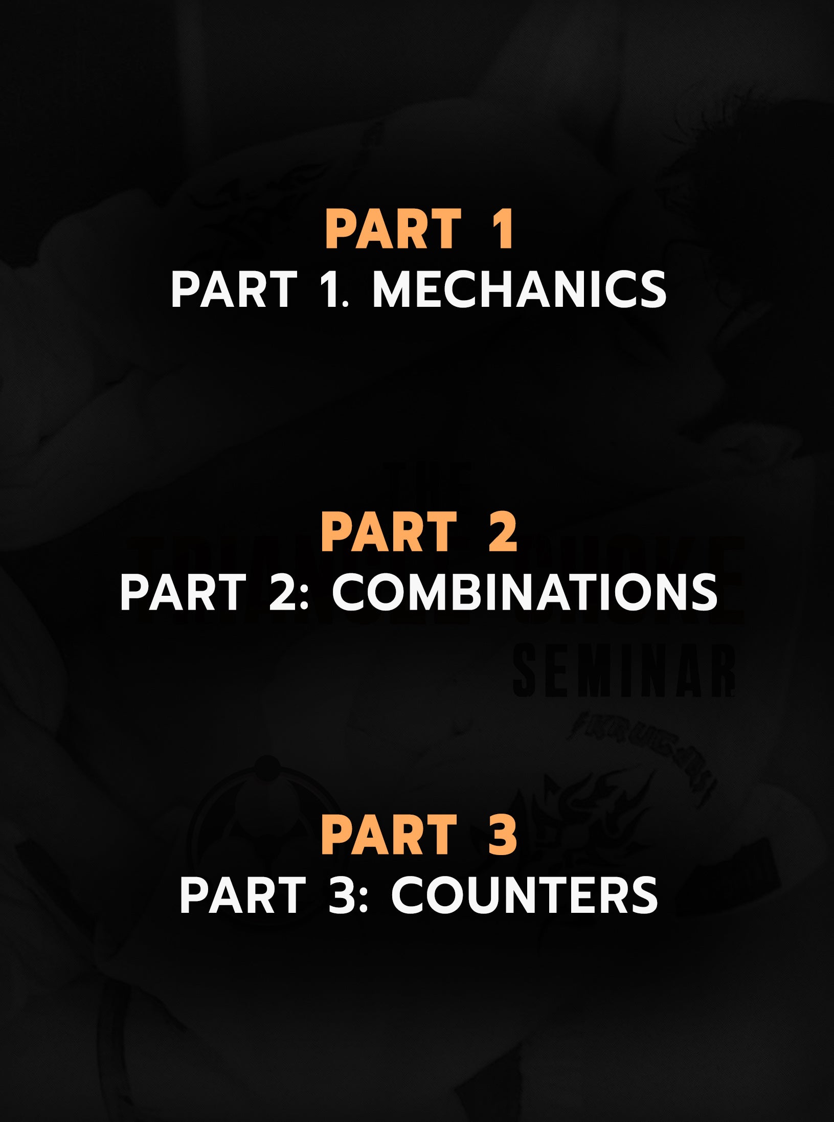 The Triangle Choke Seminar by Roy Dean image 2