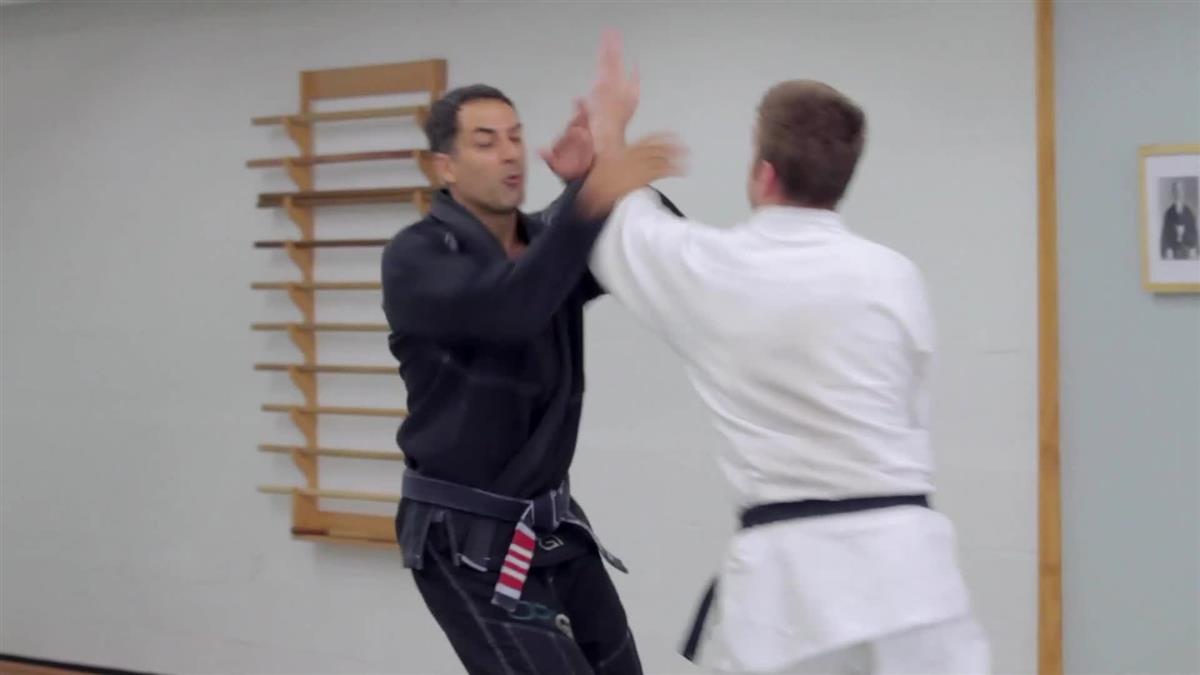 Countering Jiu Jitsu: A Beginners Guide by Roy Dean image 3