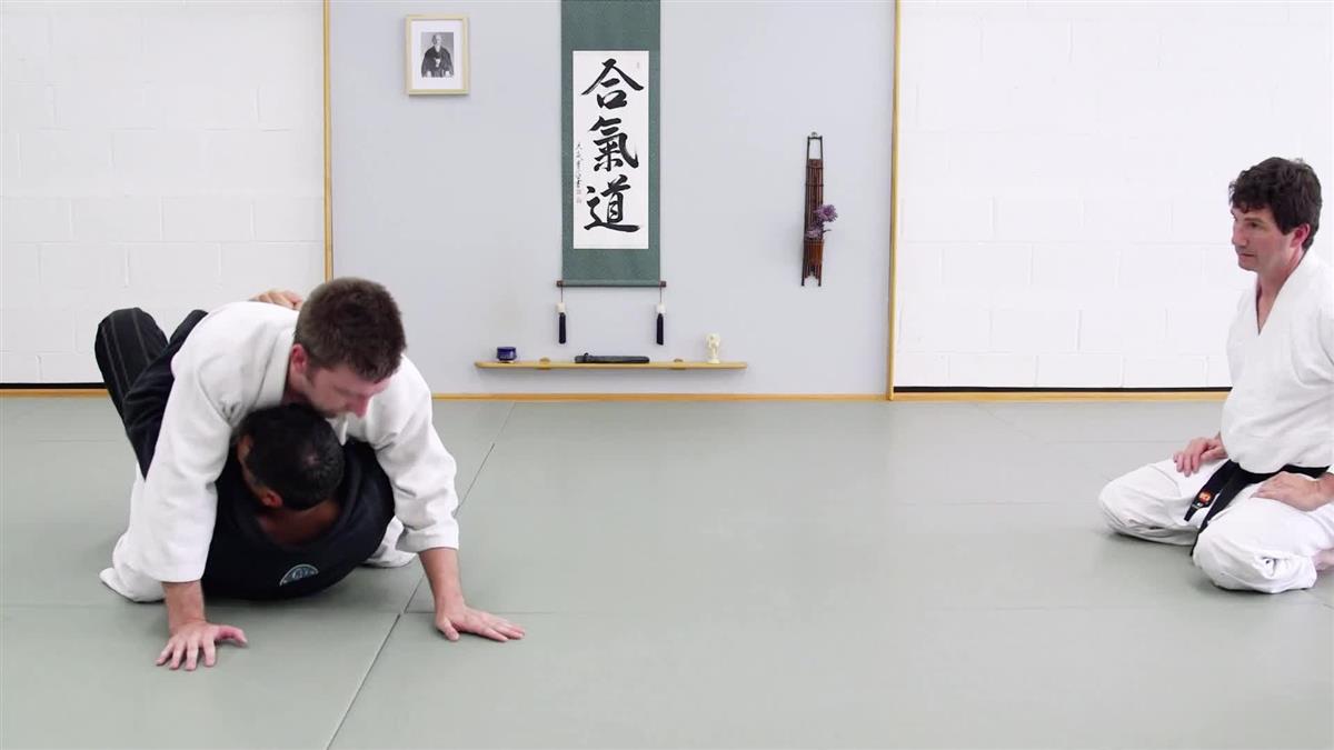 Countering Jiu Jitsu: A Beginners Guide by Roy Dean image 4