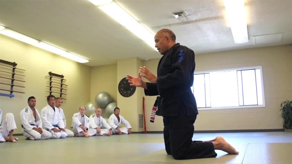 The Pressure Seminar by Roy Harris image 5