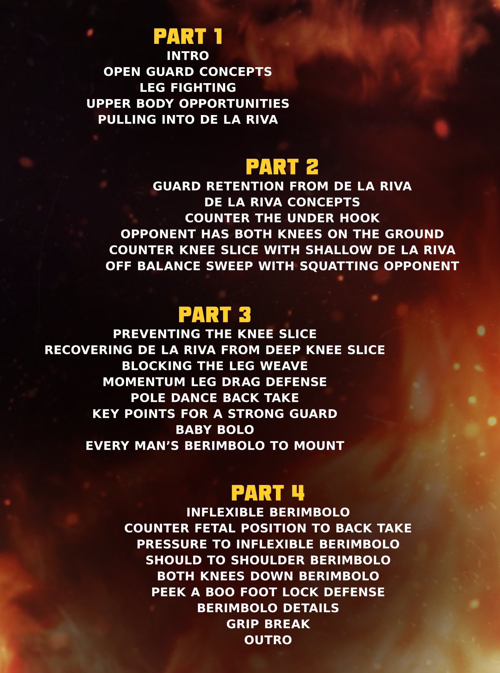 Berimbolos for Everyone by Samuel Braga image 2