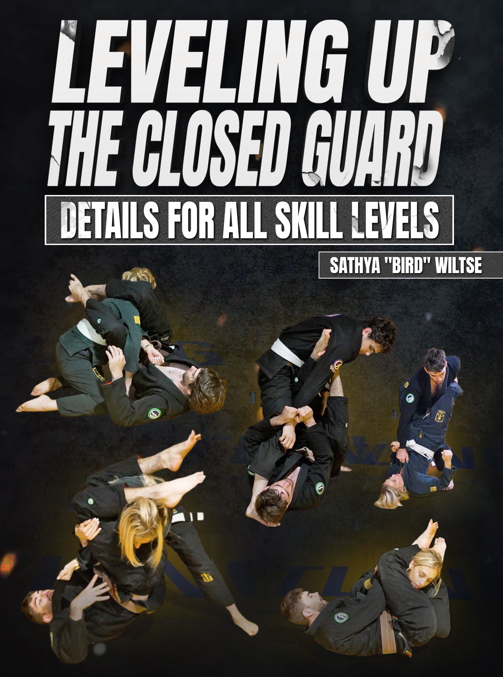 Leveling Up The Closed Guard by Sathya Bird Wiltse image 1