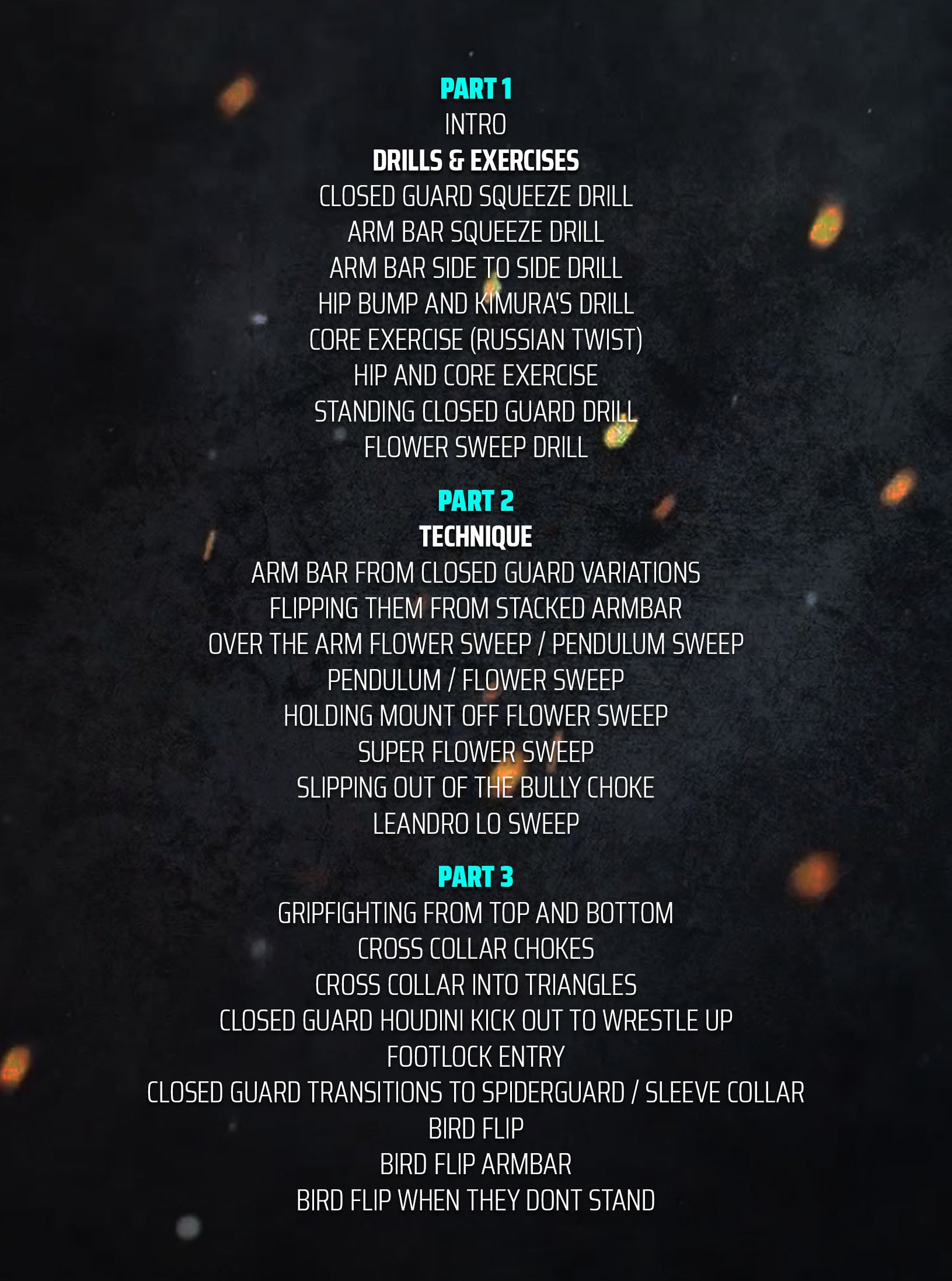 Leveling Up The Closed Guard by Sathya Bird Wiltse image 2