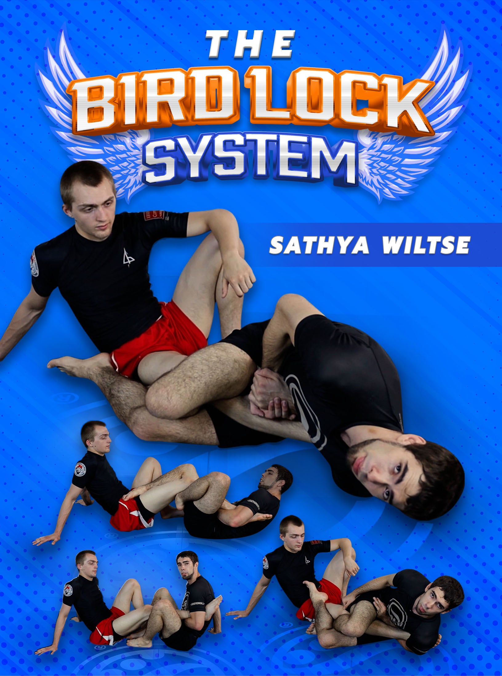 The Bird Lock System by Sathya Wiltse