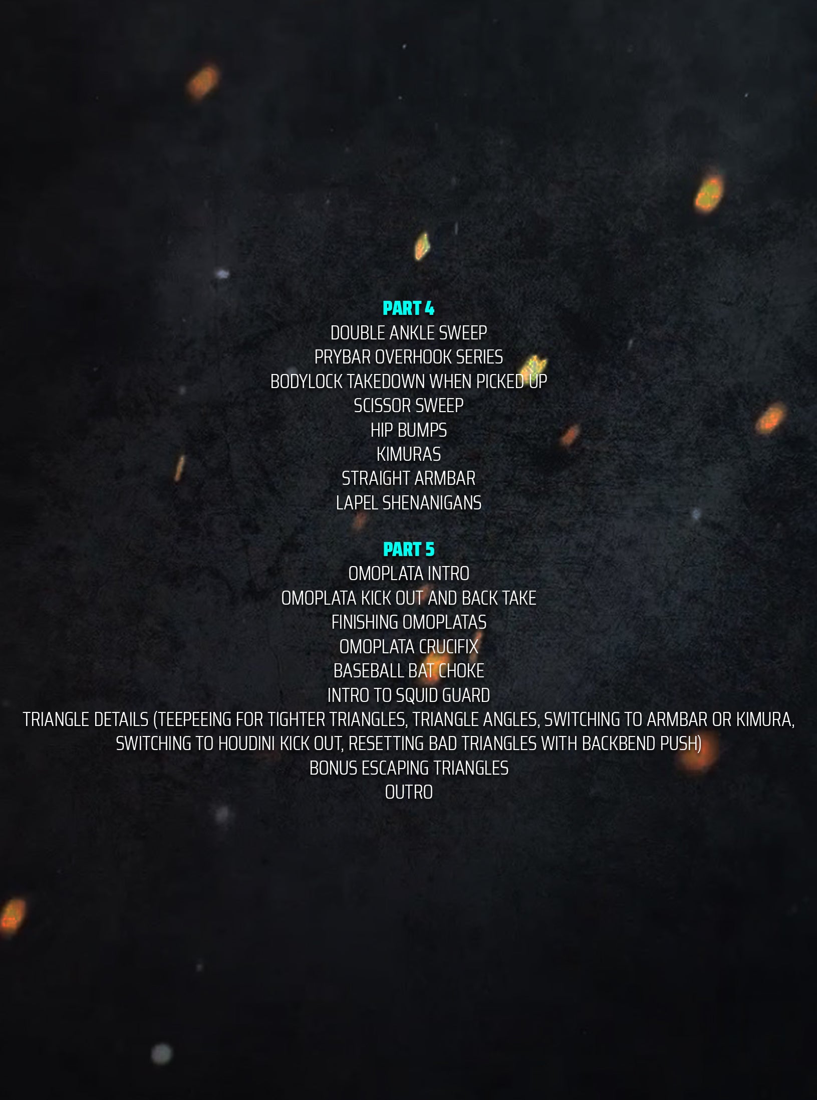 Leveling Up The Closed Guard by Sathya Bird Wiltse image 3