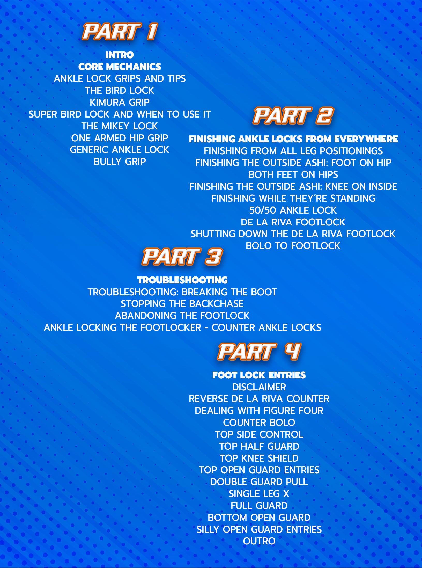 The Bird Lock System by Sathya Wiltse image 2