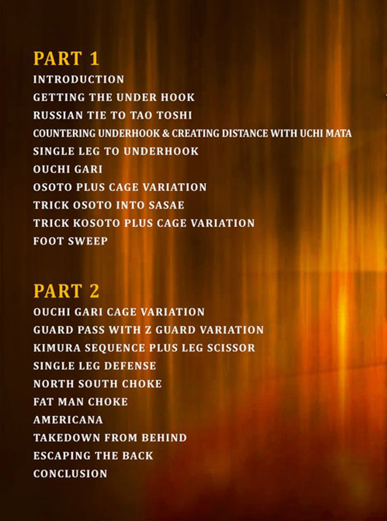 No Gi Judo For Grapplers by Satoshi Ishii image 2