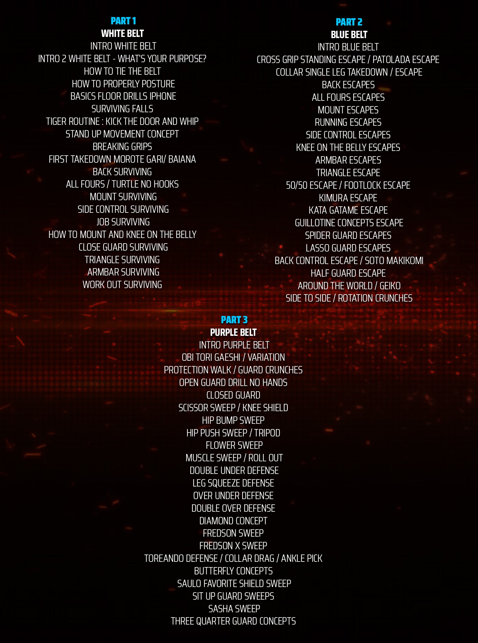 Jiu Jitsu University by Saulo Ribeiro image 2