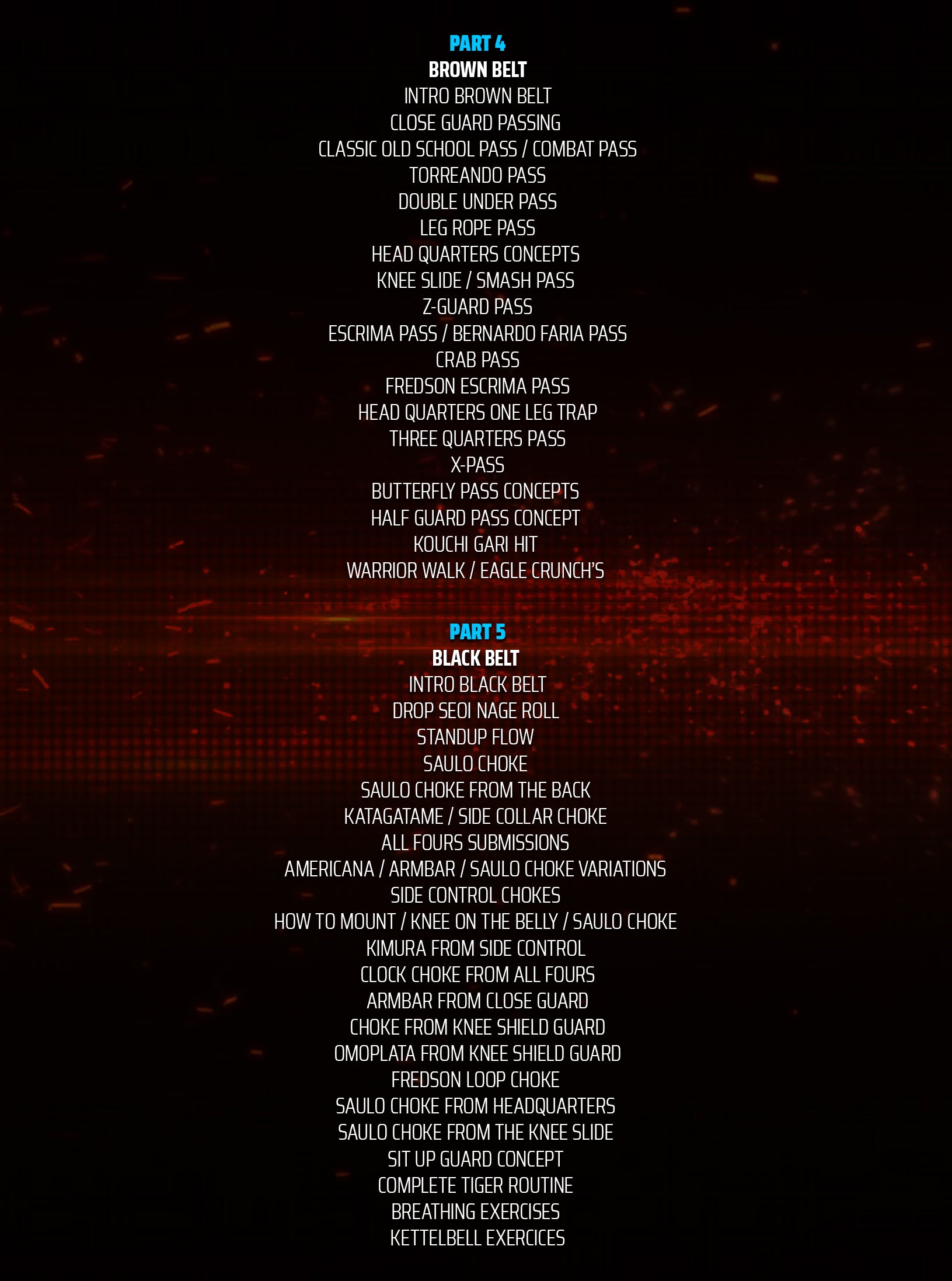 Jiu Jitsu University by Saulo Ribeiro image 3