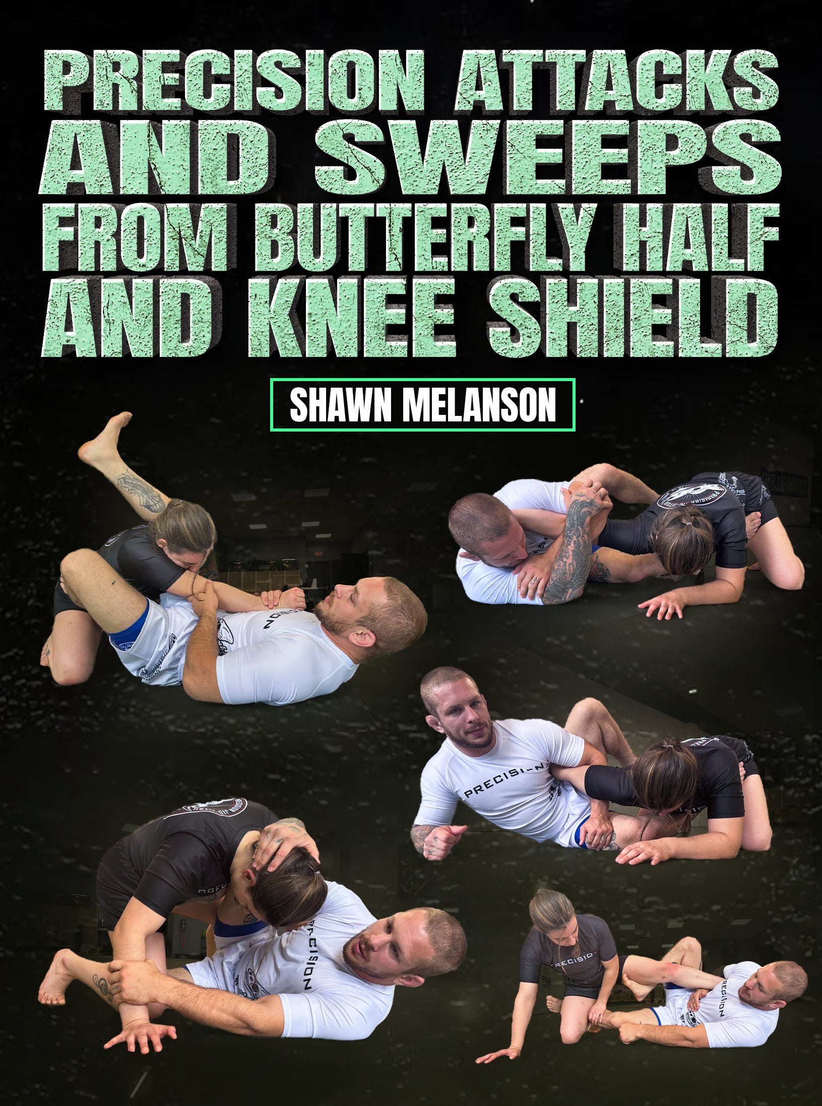 Precision Attacks and Sweeps From Butterfly Half and Knee Shield by Shawn Melanson image 1