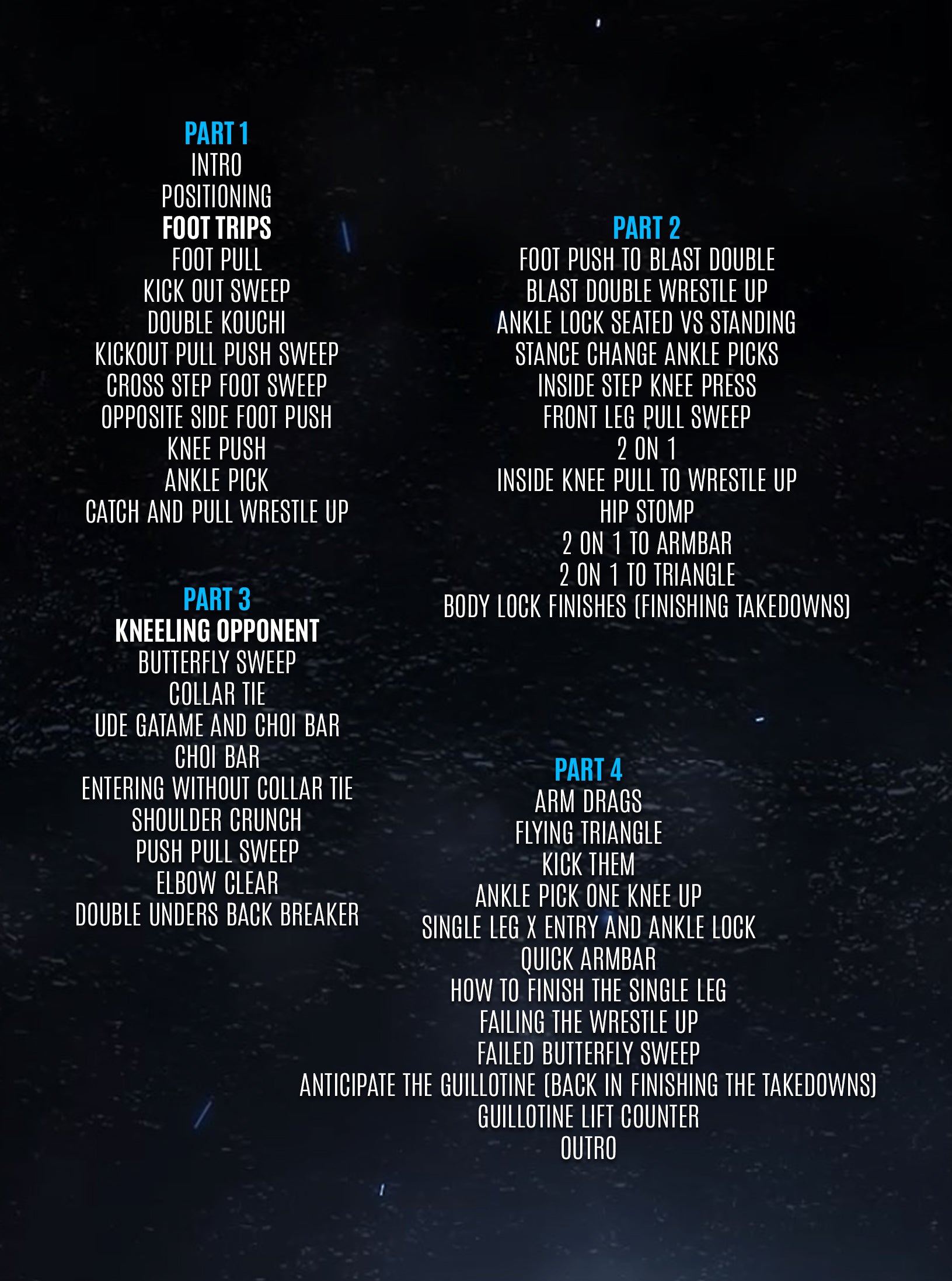 Precision Sweeps and Wrestle Ups From The Seated Position by Shawn Melanson image 2