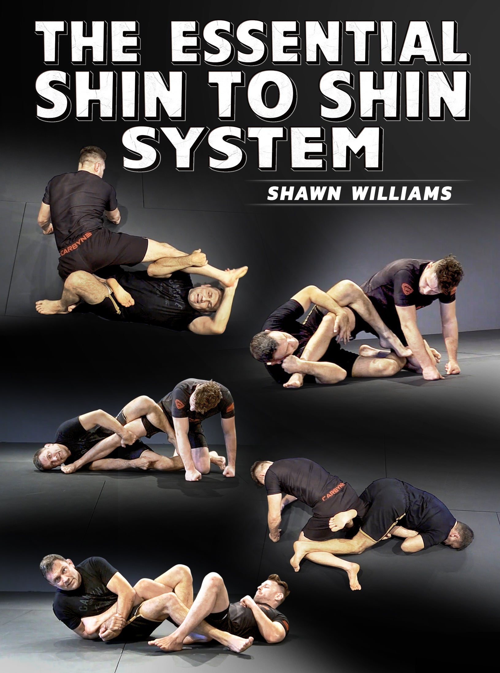 The Essential Shin To Shin System by Shawn Williams image 1