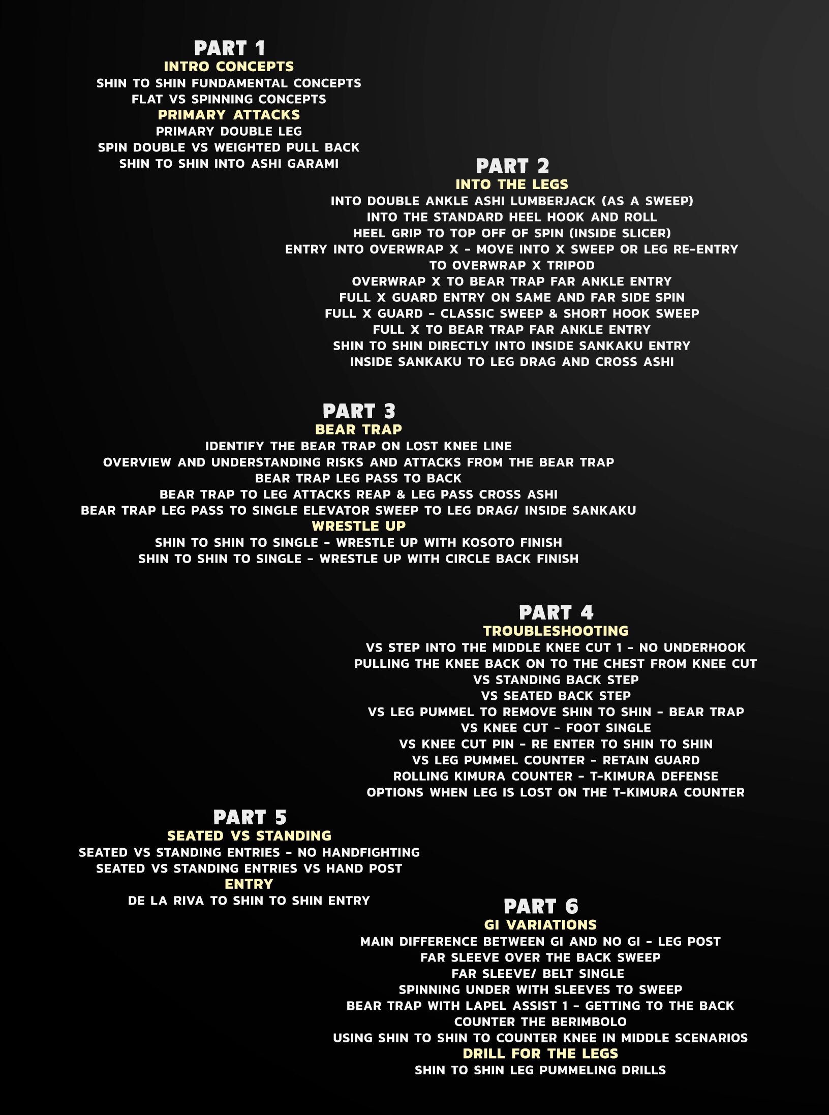 The Essential Shin To Shin System by Shawn Williams image 2