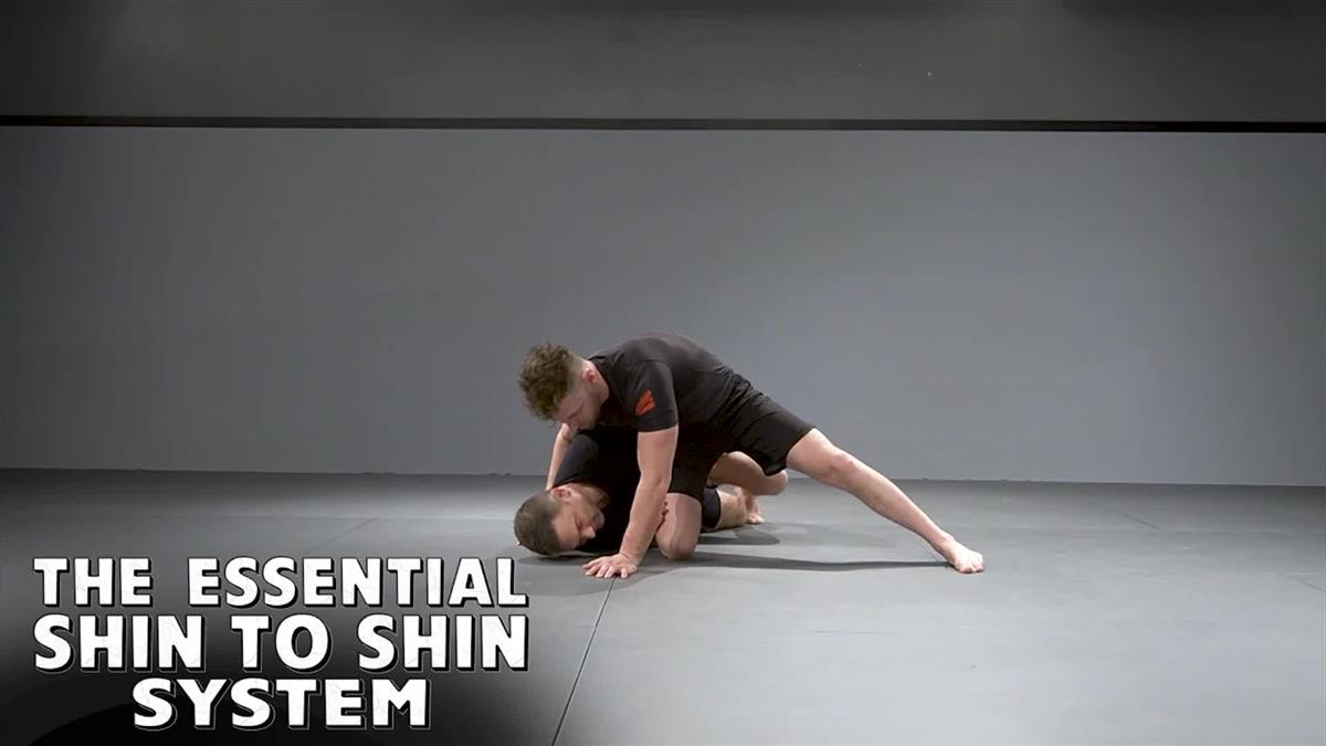 The Essential Shin To Shin System by Shawn Williams image 3