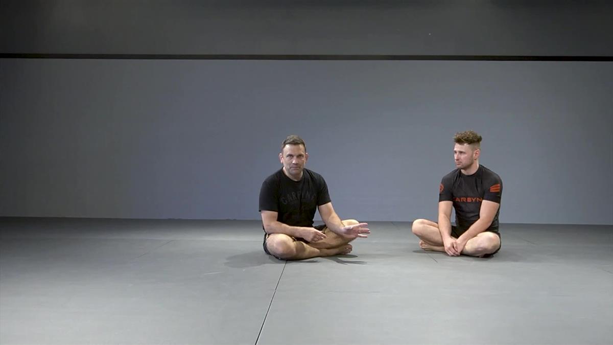 The Essential Shin To Shin System by Shawn Williams image 4