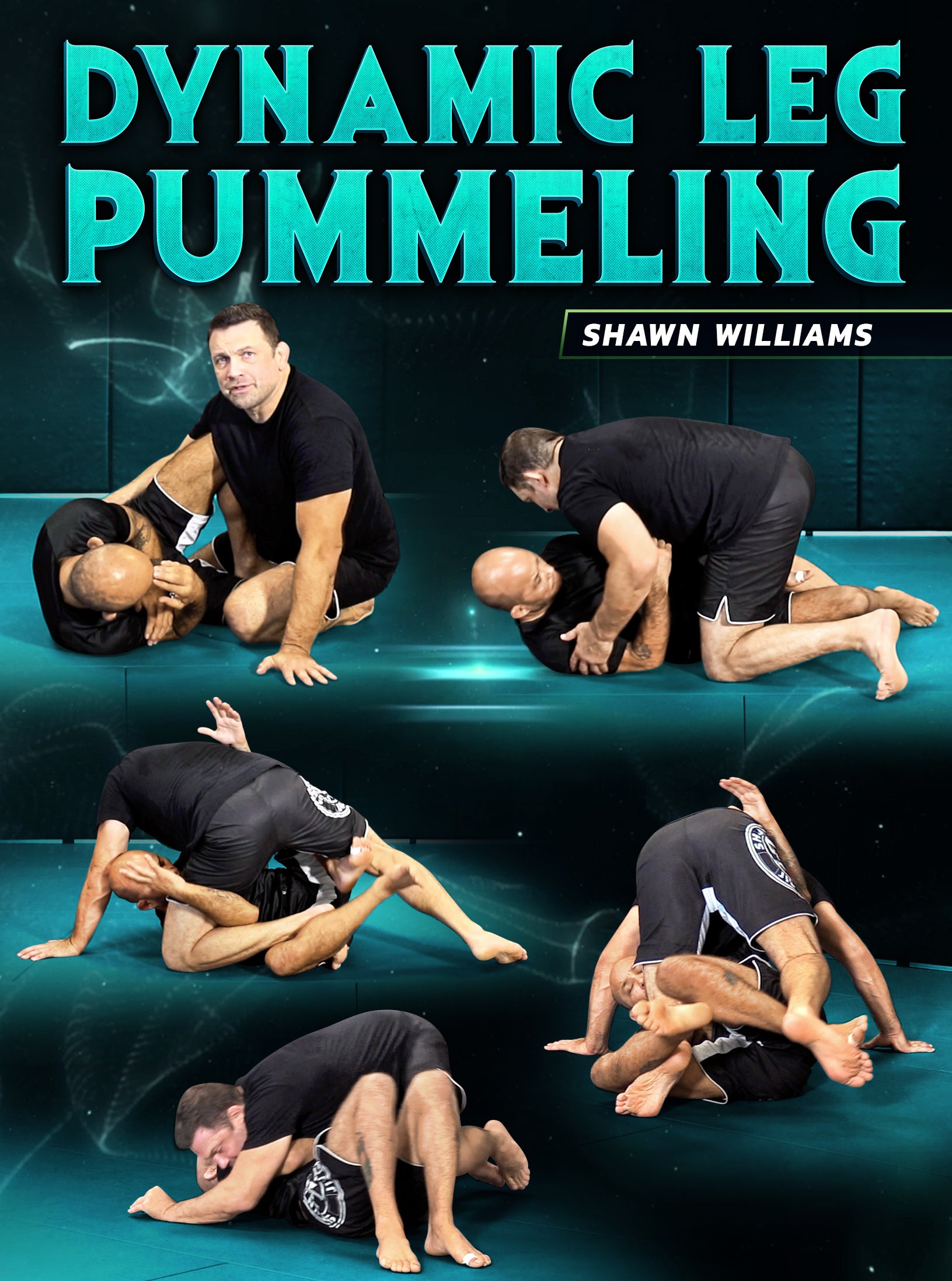 Dynamic Leg Pummeling by Shawn Williams