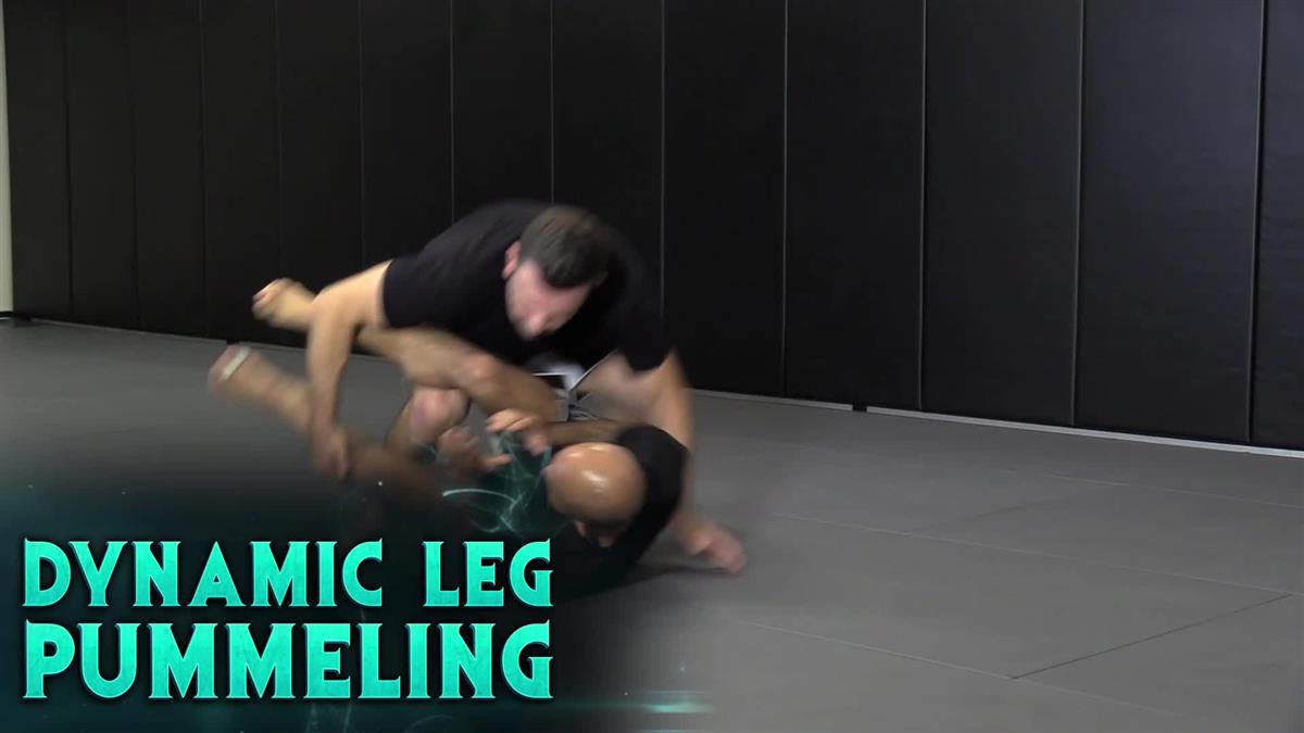Dynamic Leg Pummeling by Shawn Williams image 3