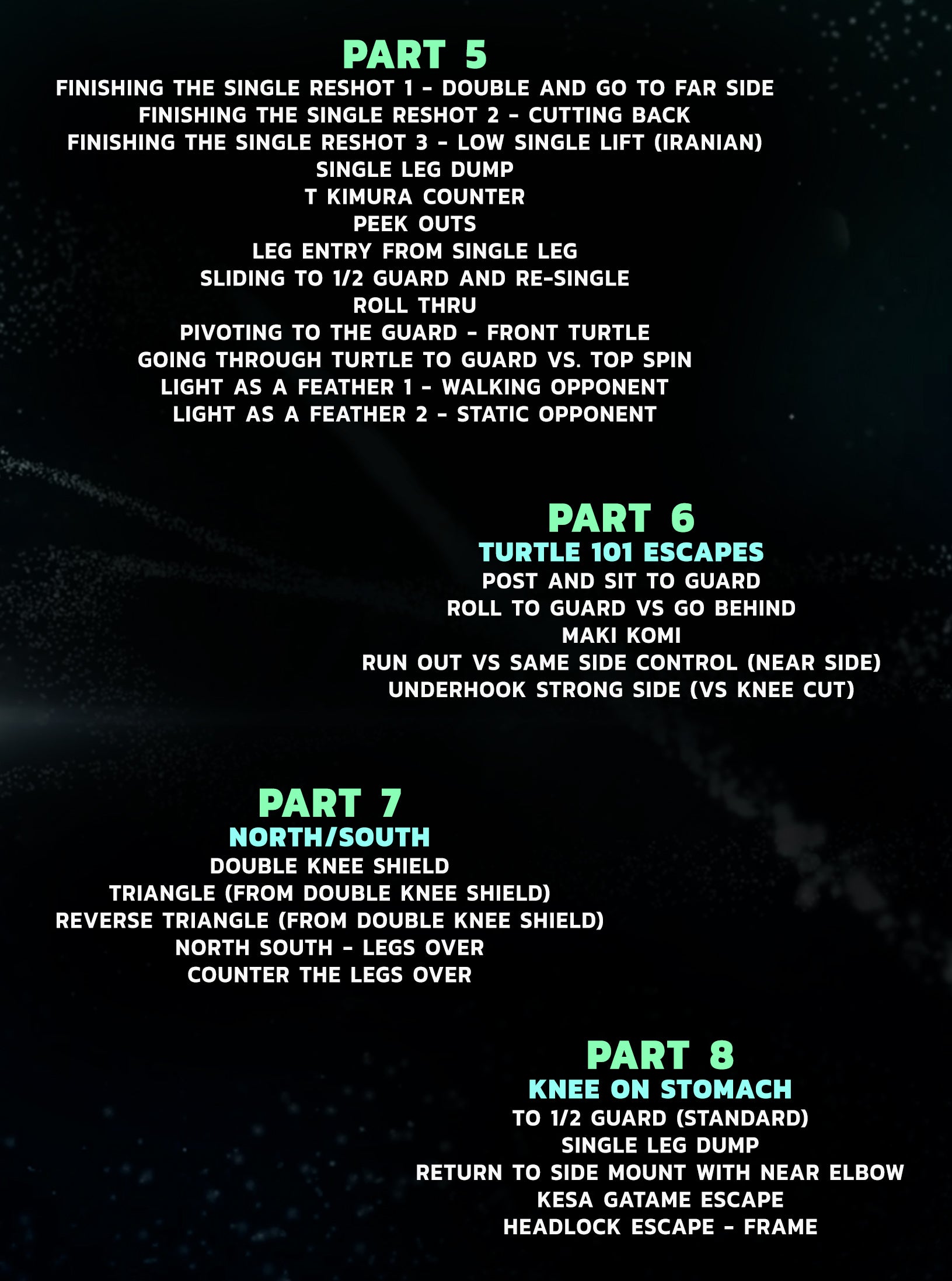 Essential Side Control Escapes by Shawn Williams image 4
