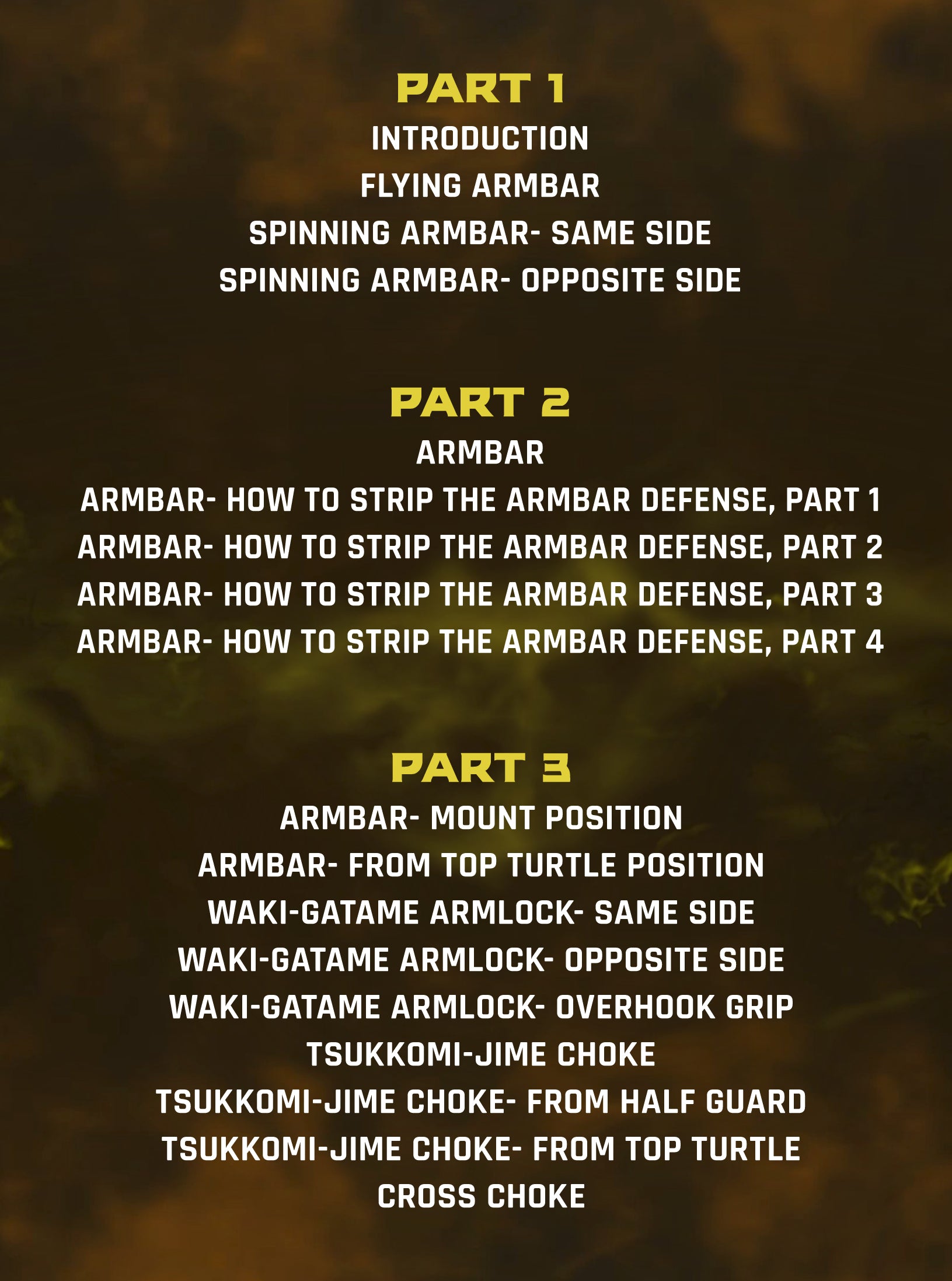 The Aoki Arm Bar System by Shinya Aoki image 2