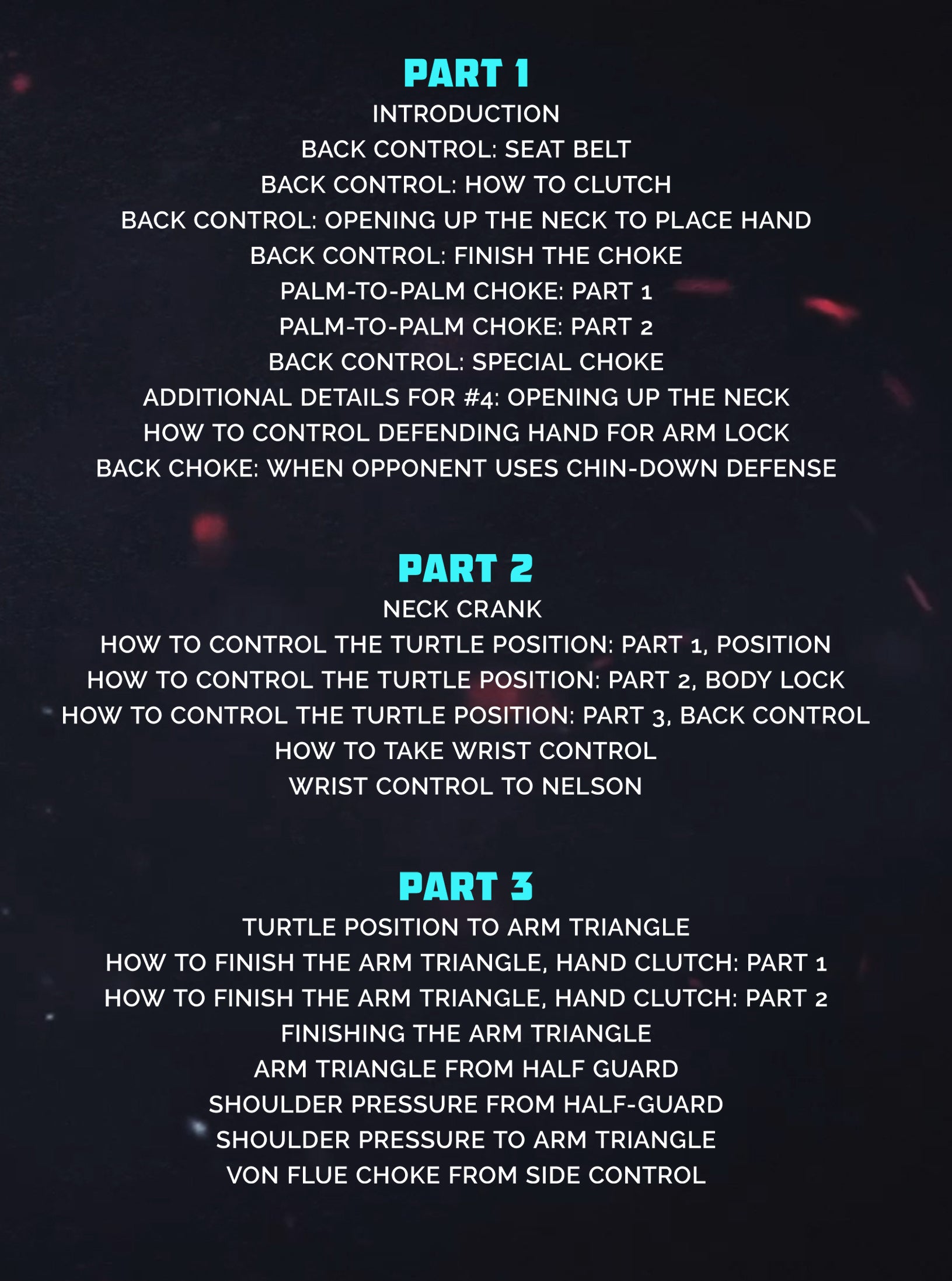 The Aoki Back Attack System by Shinya Aoki image 2