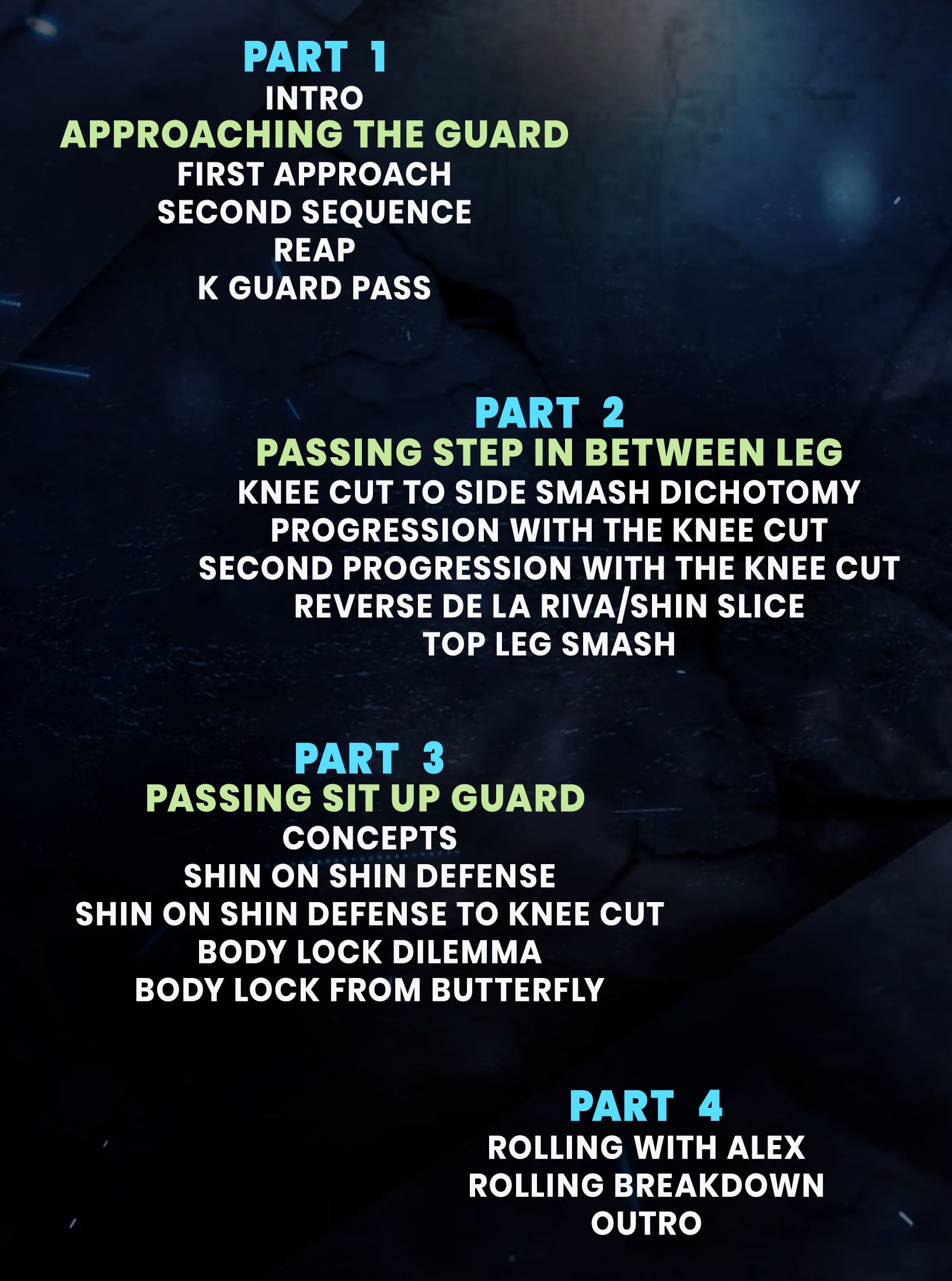 Dynamic No Gi Guard Passing by Steffen Banta image 2