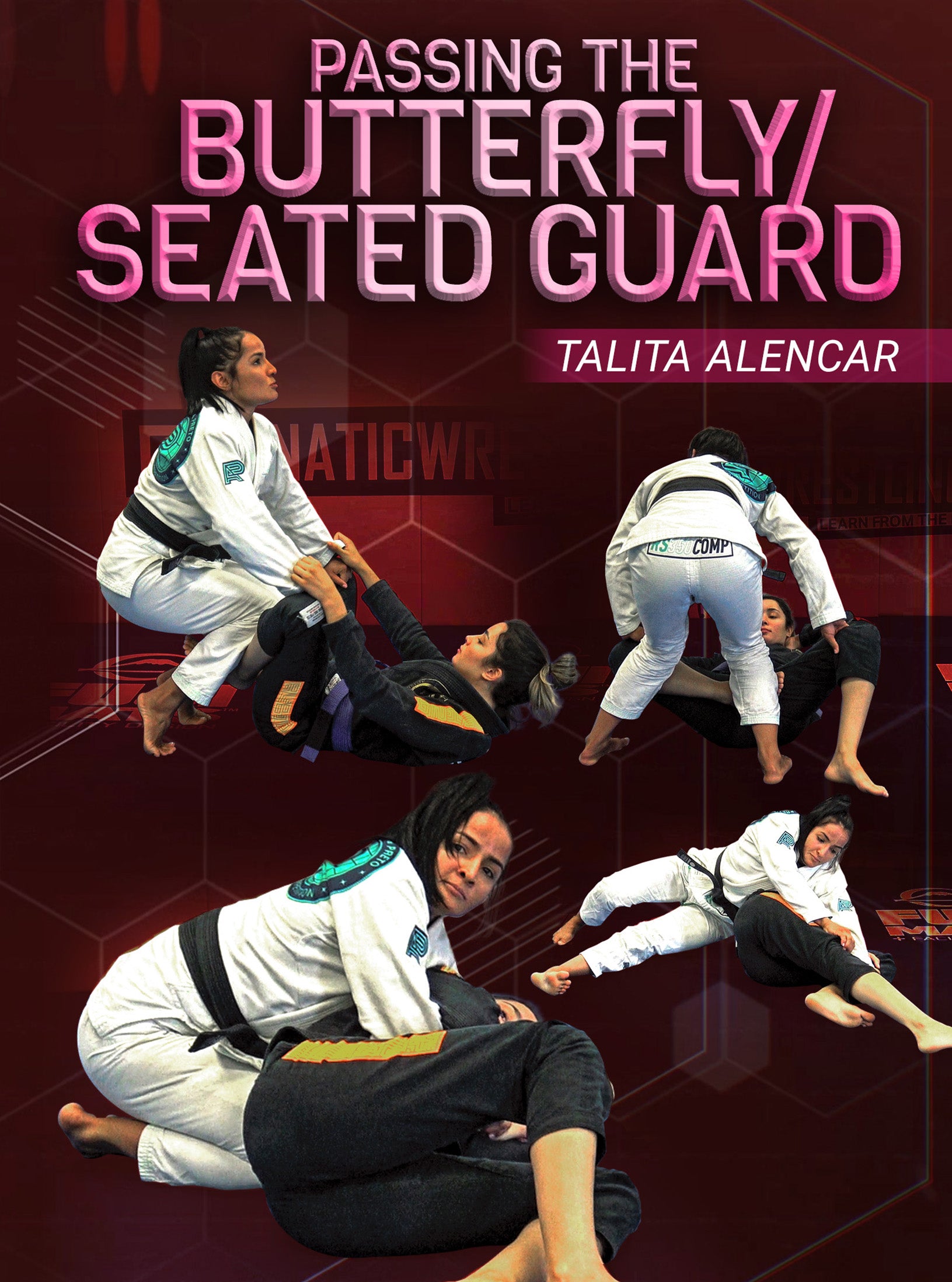 Passing The Butterfly/Seated Guard by Talita Alencar image 1