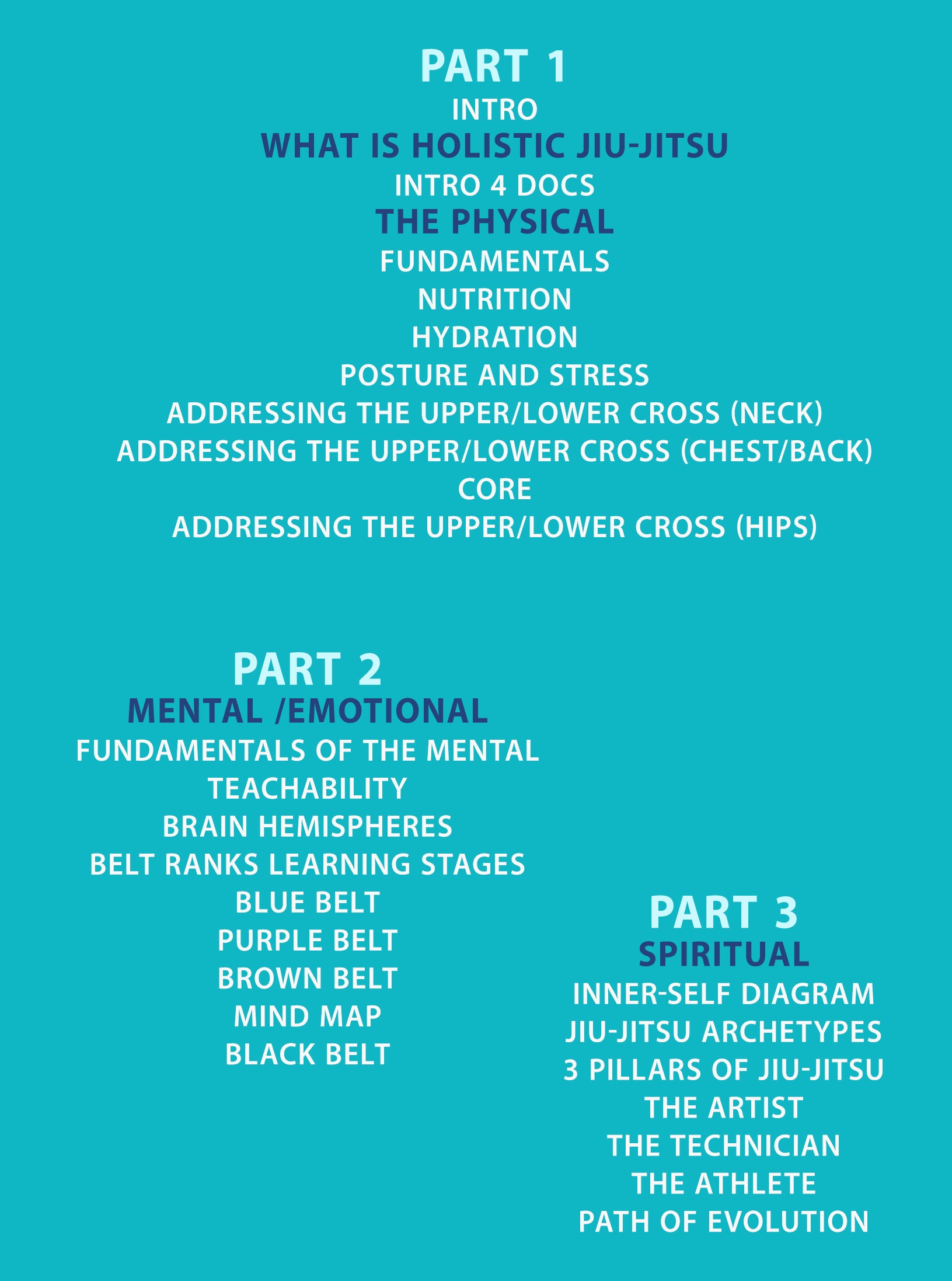 Holistic Jiu jitsu by Steve Kasten image 2