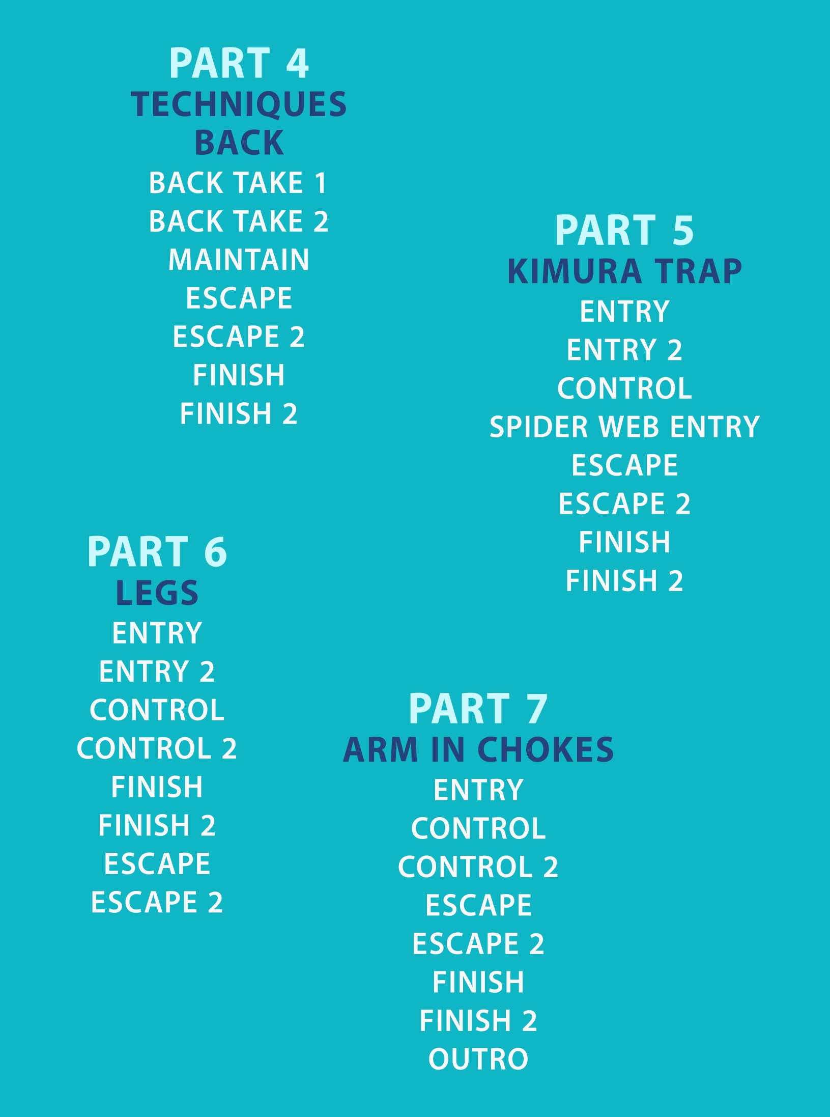 Holistic Jiu jitsu by Steve Kasten image 3