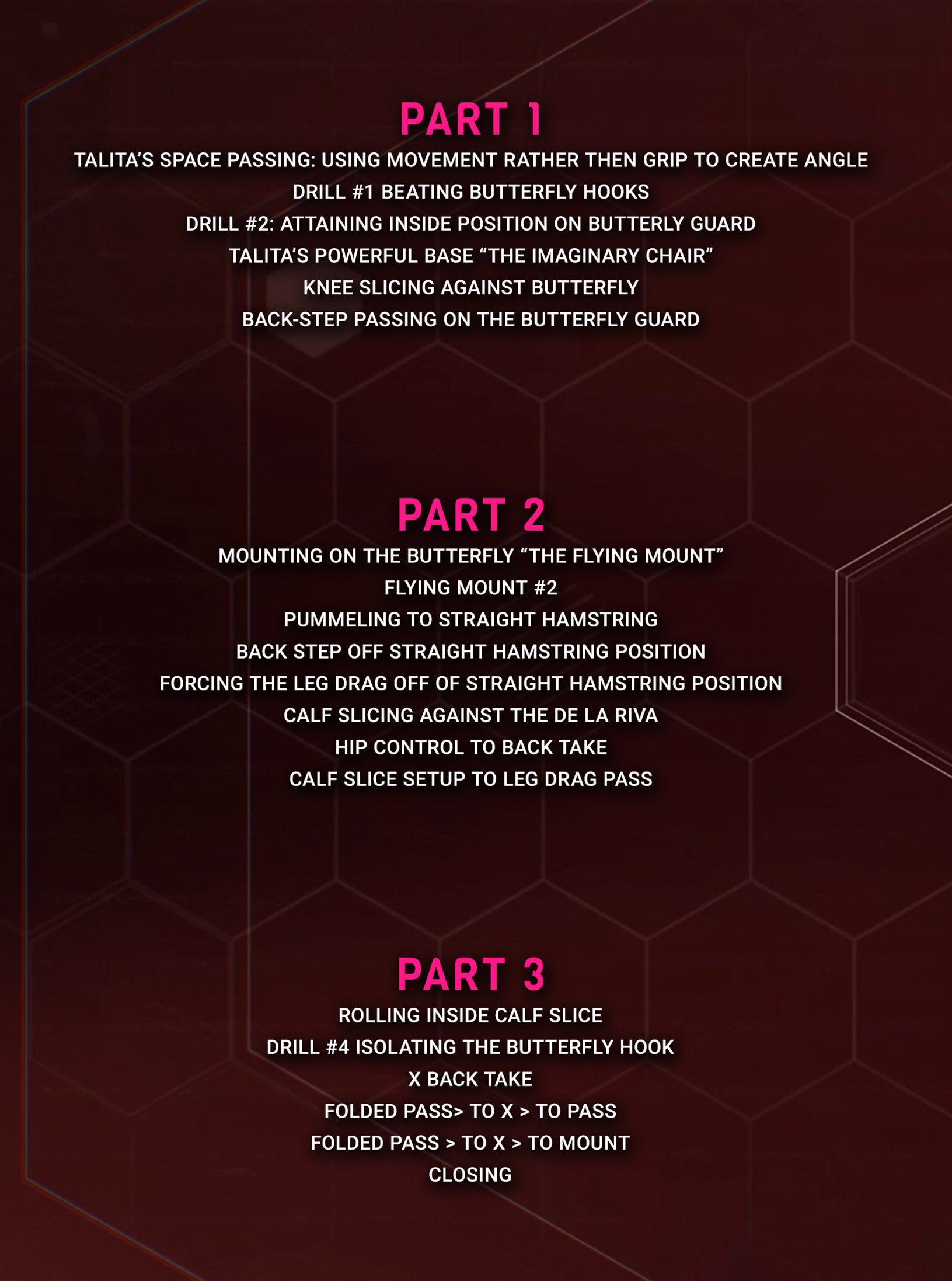 Passing The Butterfly/Seated Guard by Talita Alencar image 2