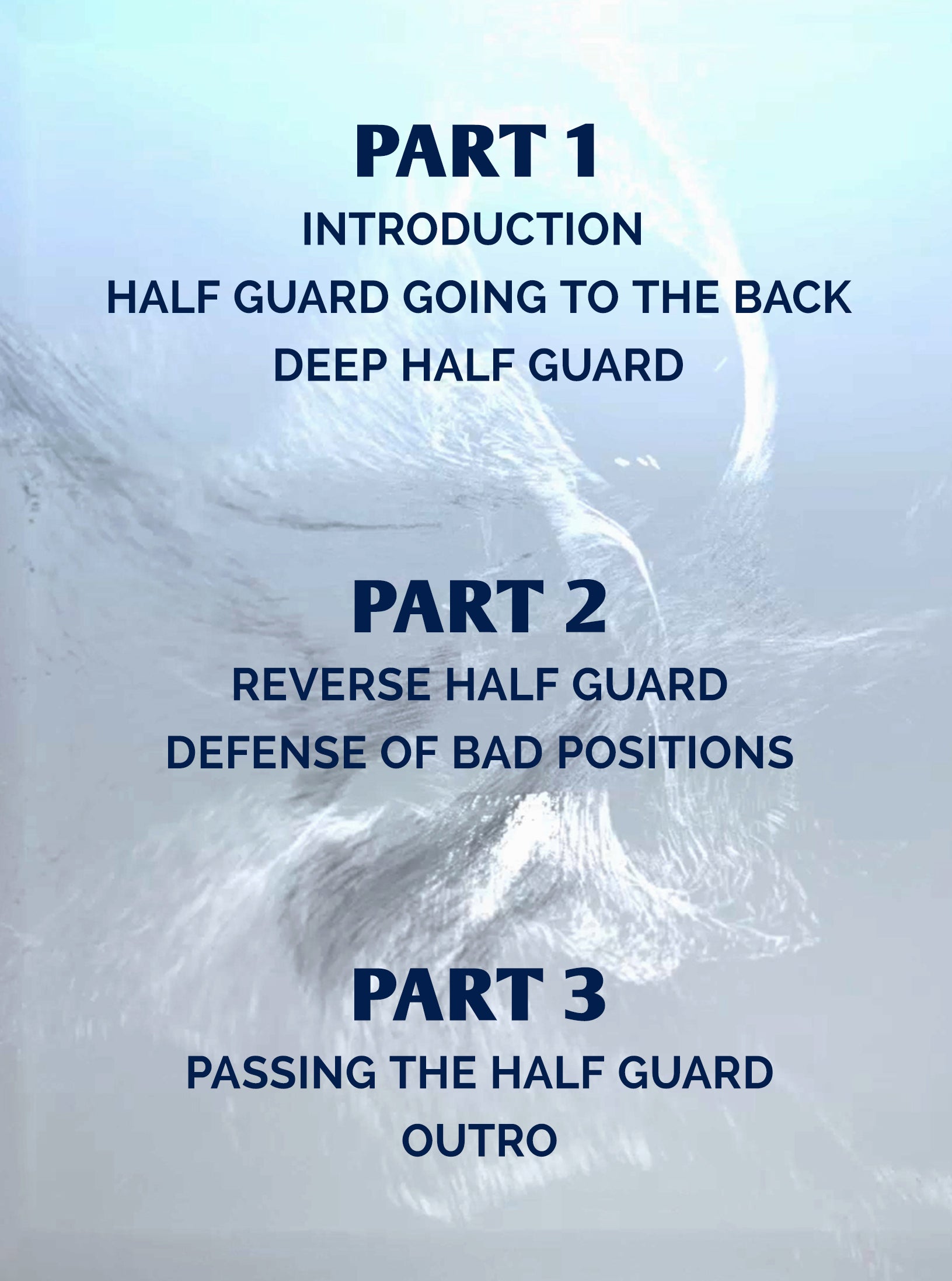 Everything About Half Guard by Theodoro Canal image 2