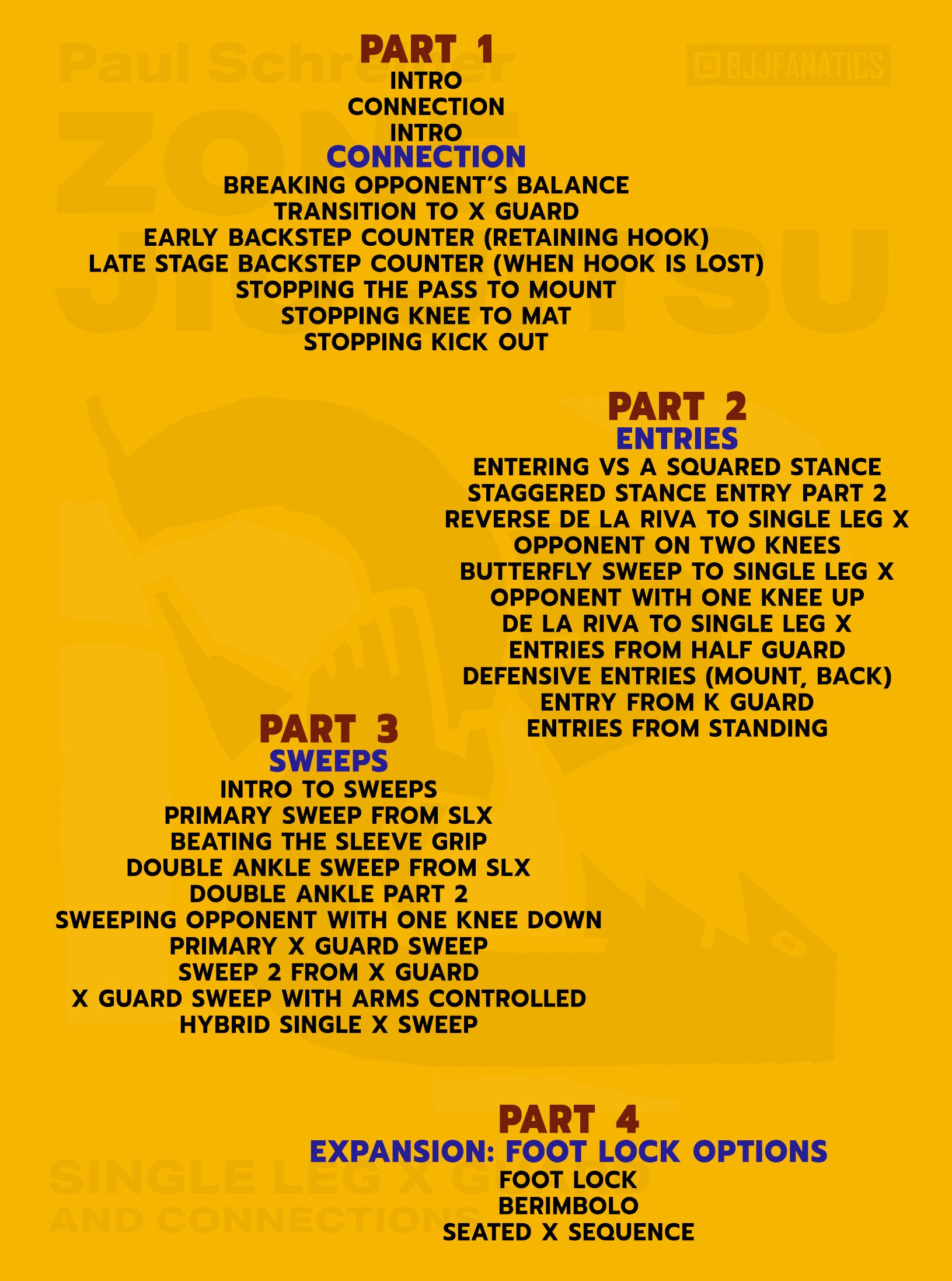 Zone Jiu Jitsu: Single Leg X Guard by Paul Schreiner image 2