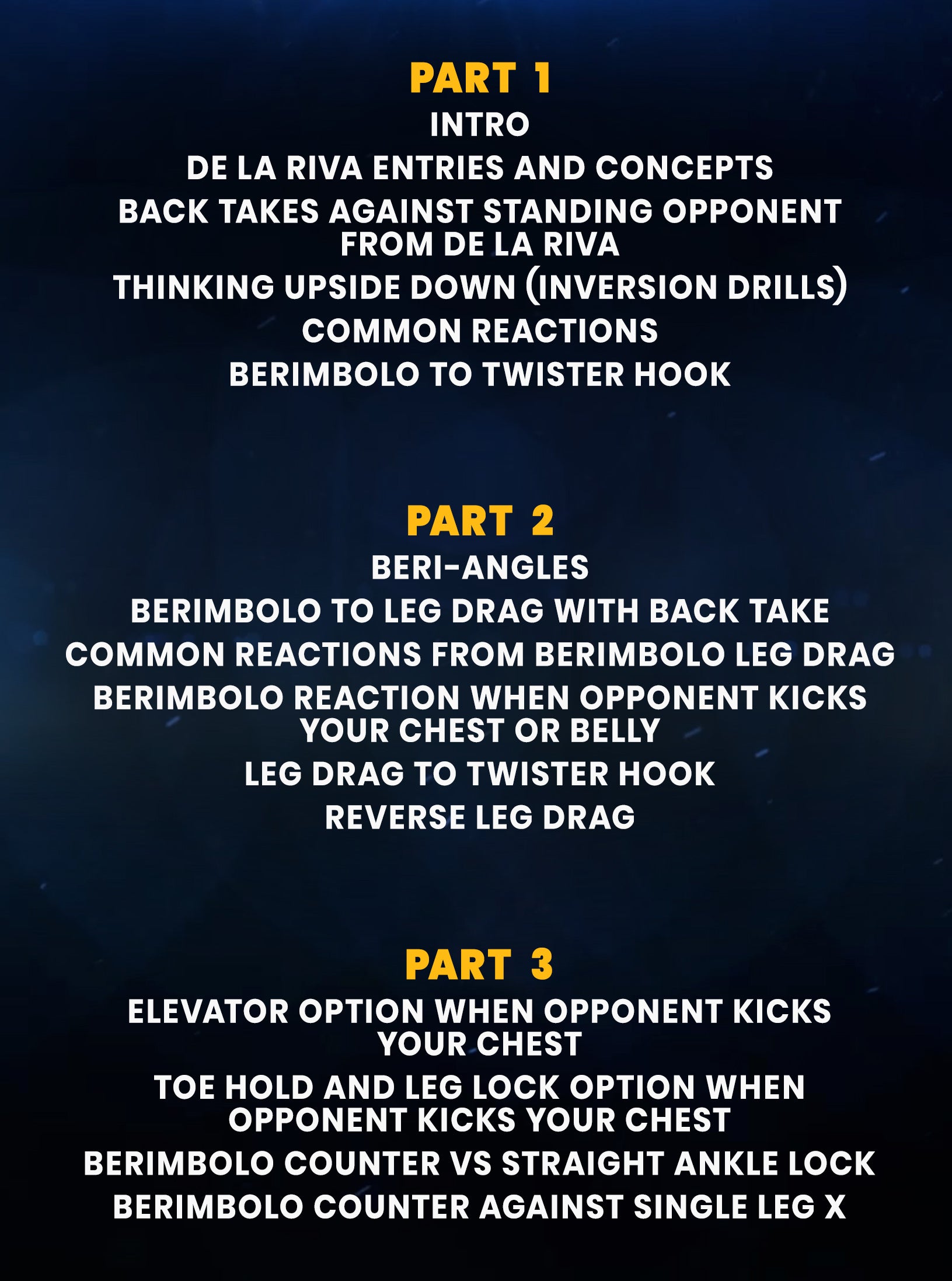 Berimbolo 2.0: The Modern System by Paulo Miyao image 2