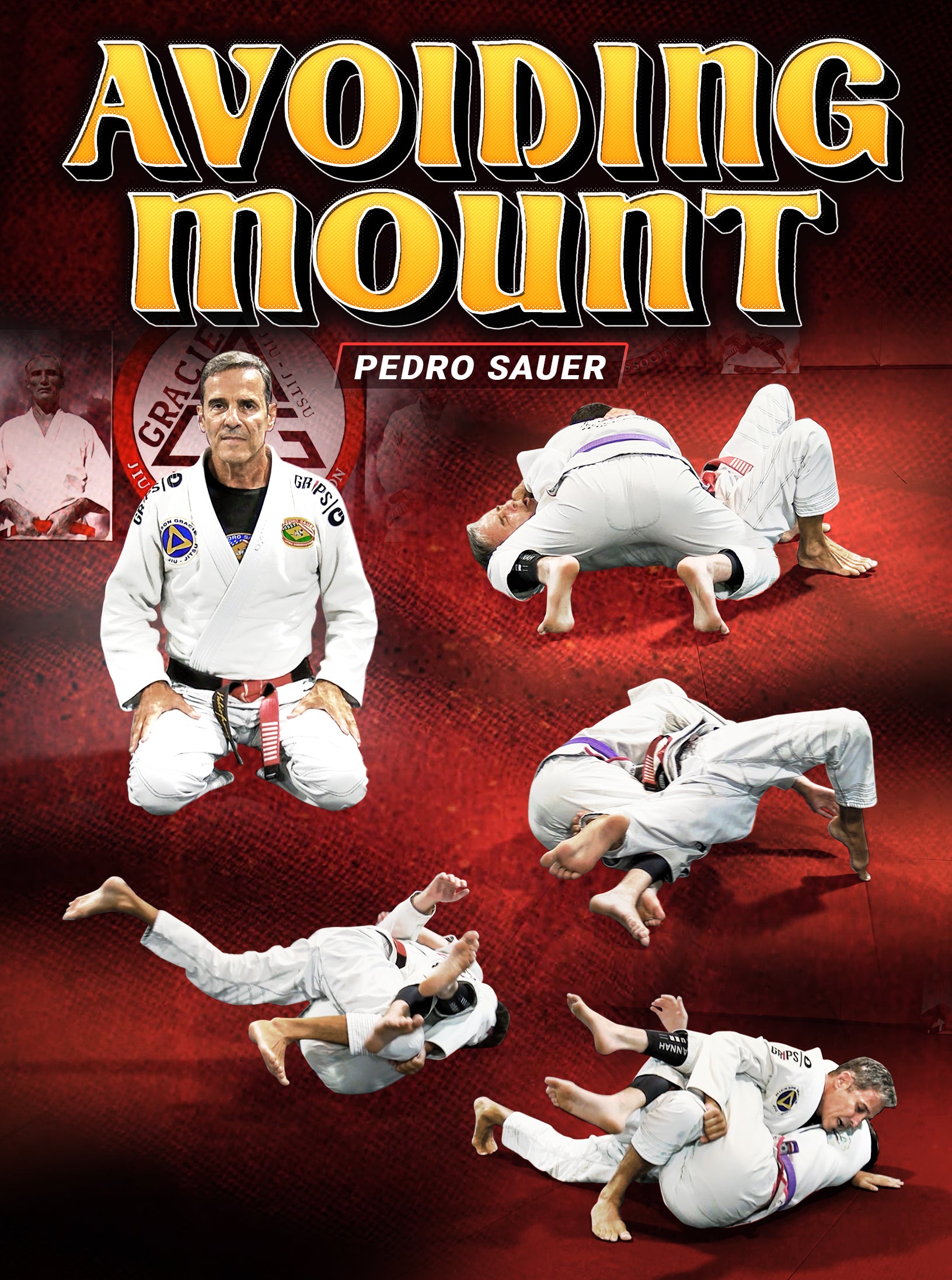 Avoiding Mount by Pedro Sauer image 1