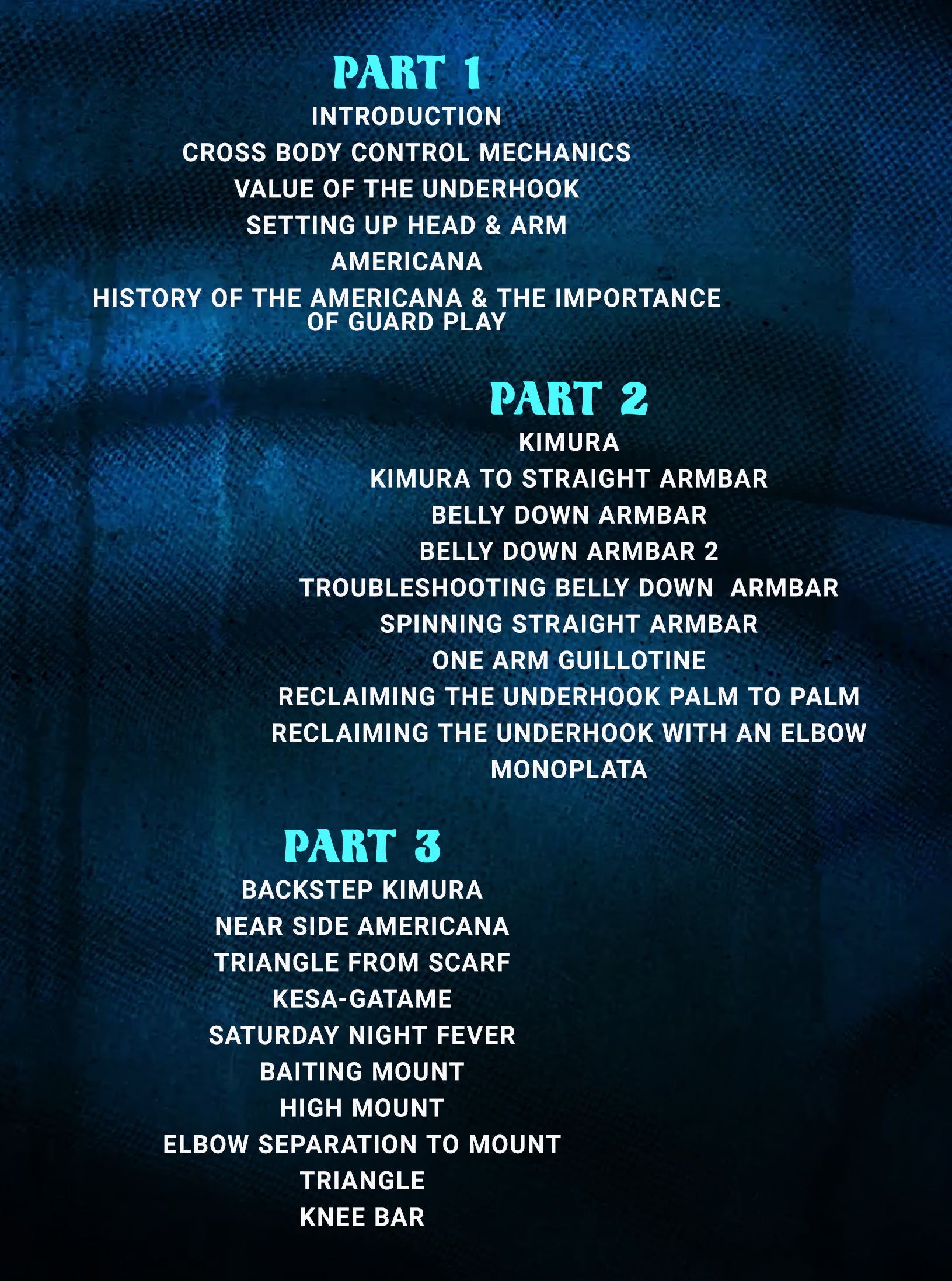 No Gi Side Control by Pedro Sauer image 2